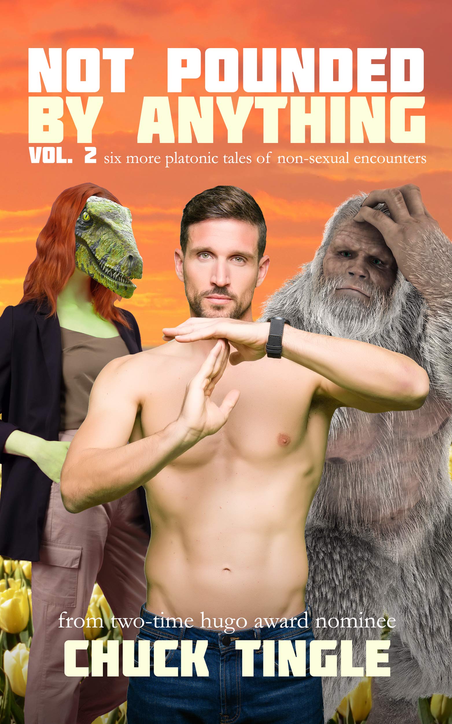 Not Pounded By Anything book cover 1