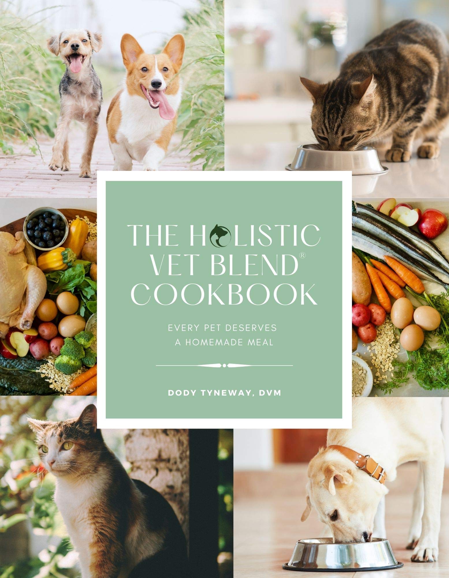 The Holistic Vet Blend Cookbook Every Pet Deserves a Homemade Meal by Dody Tyneway Goodreads