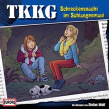 Schreckensnacht im Schlangenmaul book cover