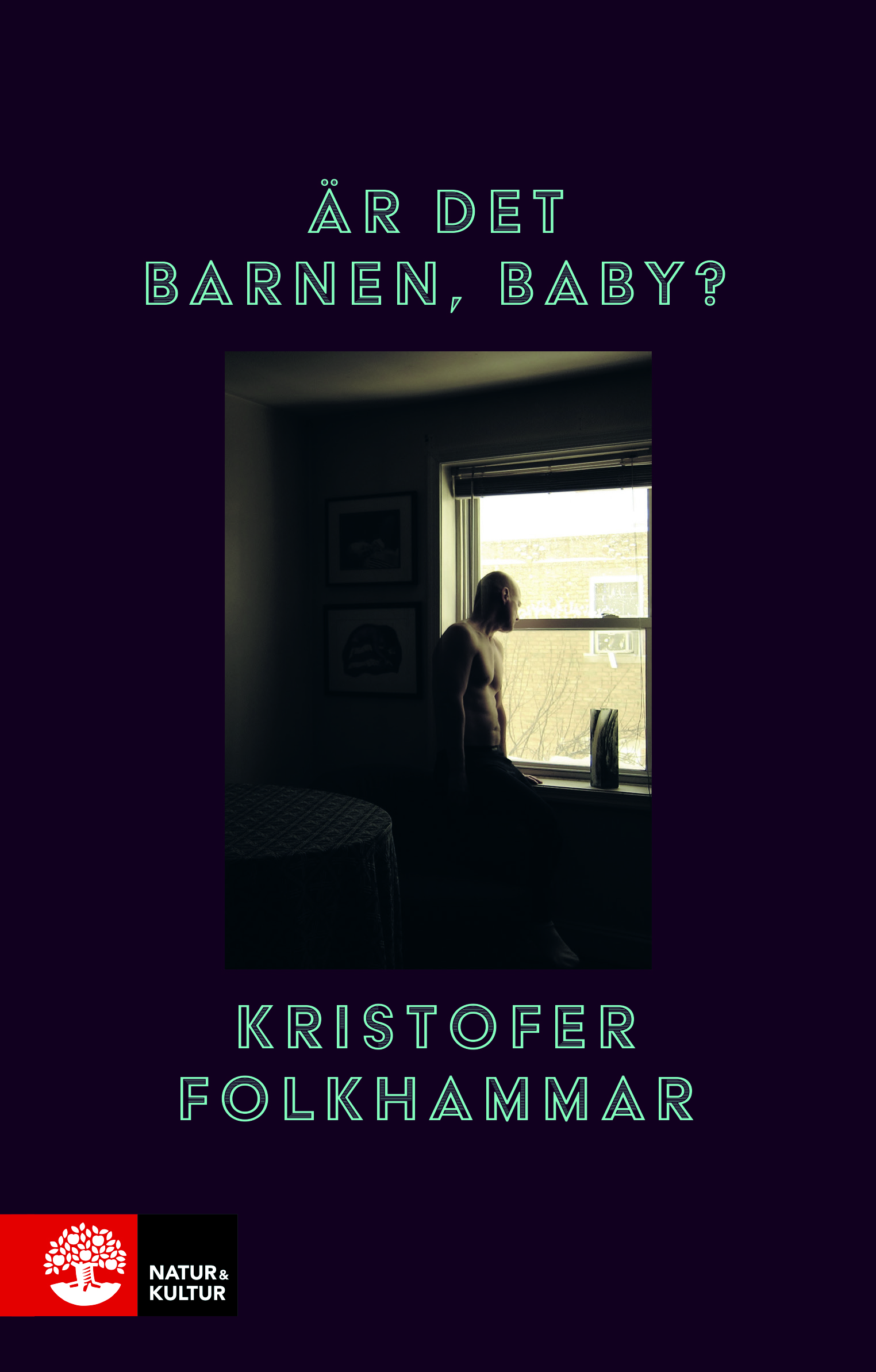 Är det barnen, baby? book cover