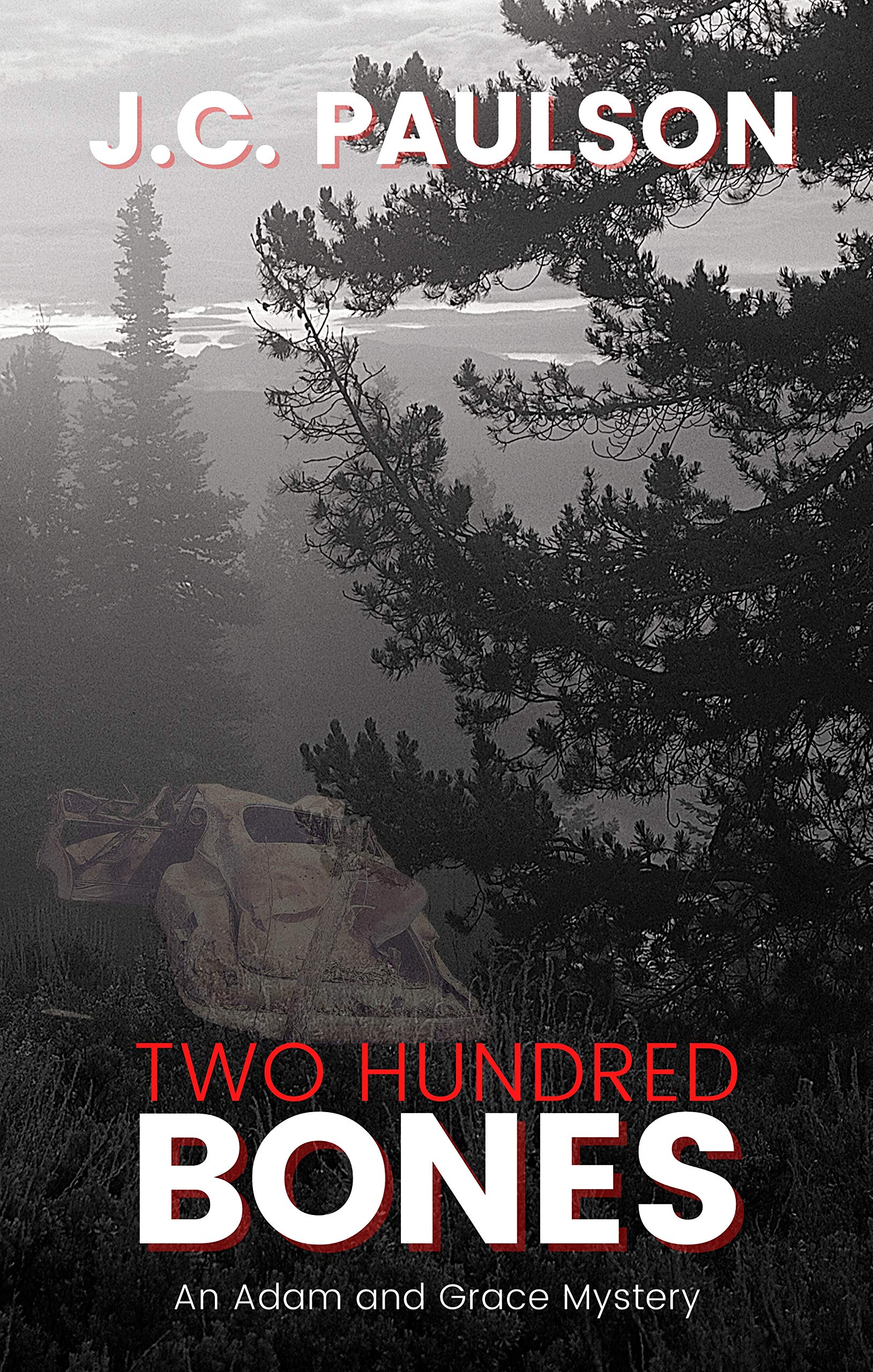 Two Hundred Bones