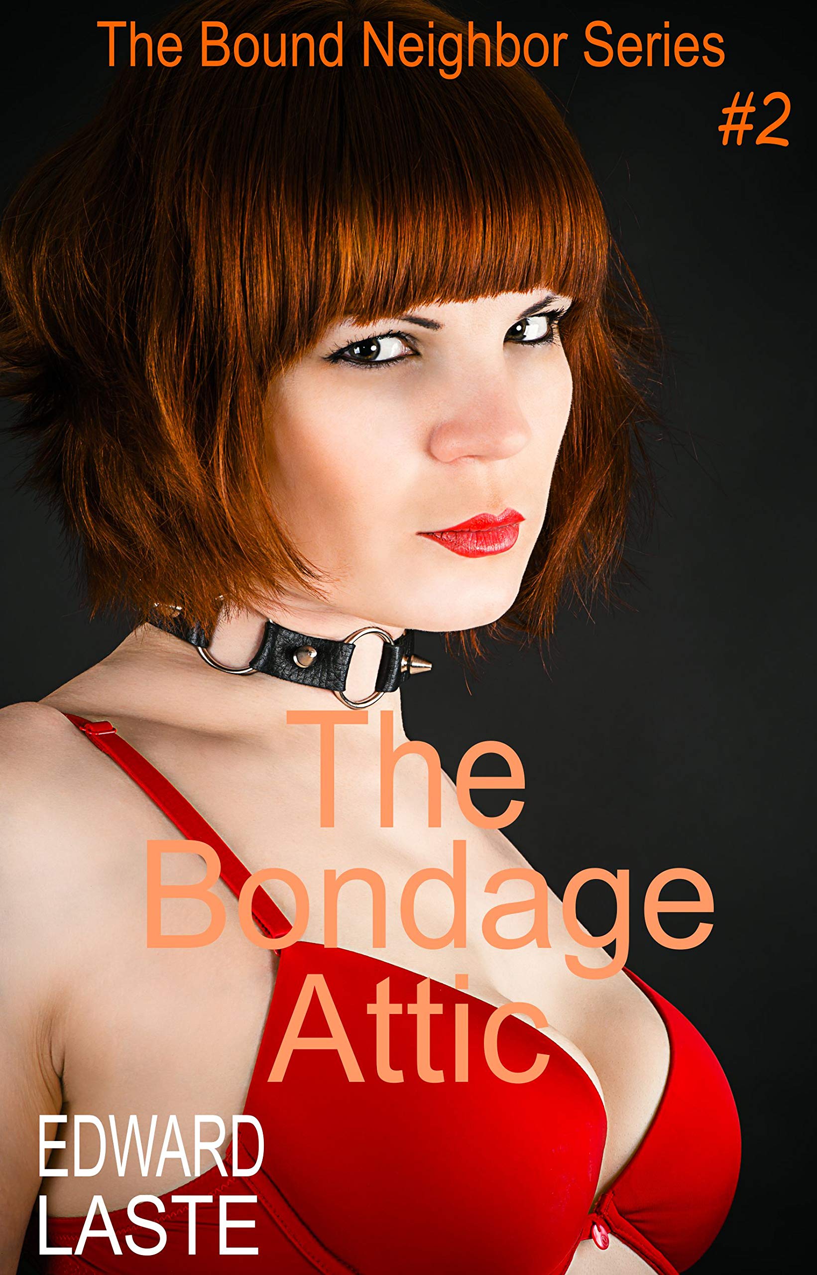 The Bondage Attic: Erotic BDSM