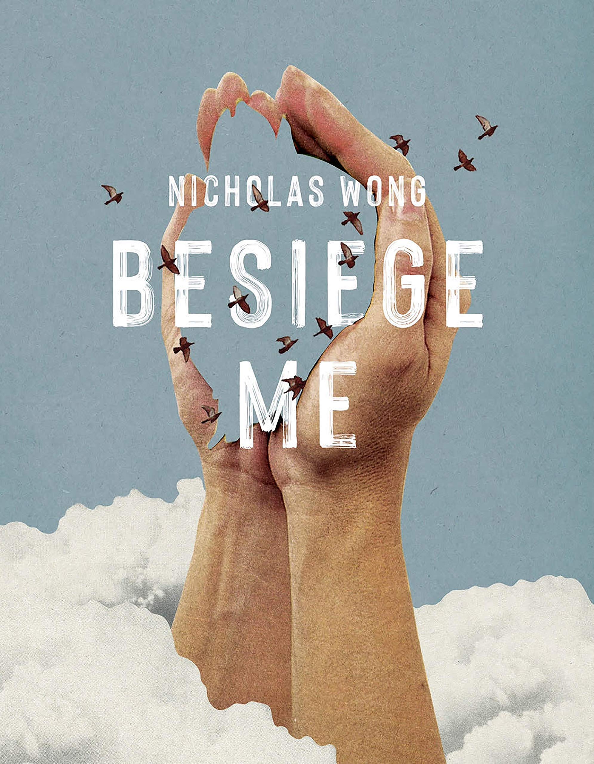 Besiege Me book cover