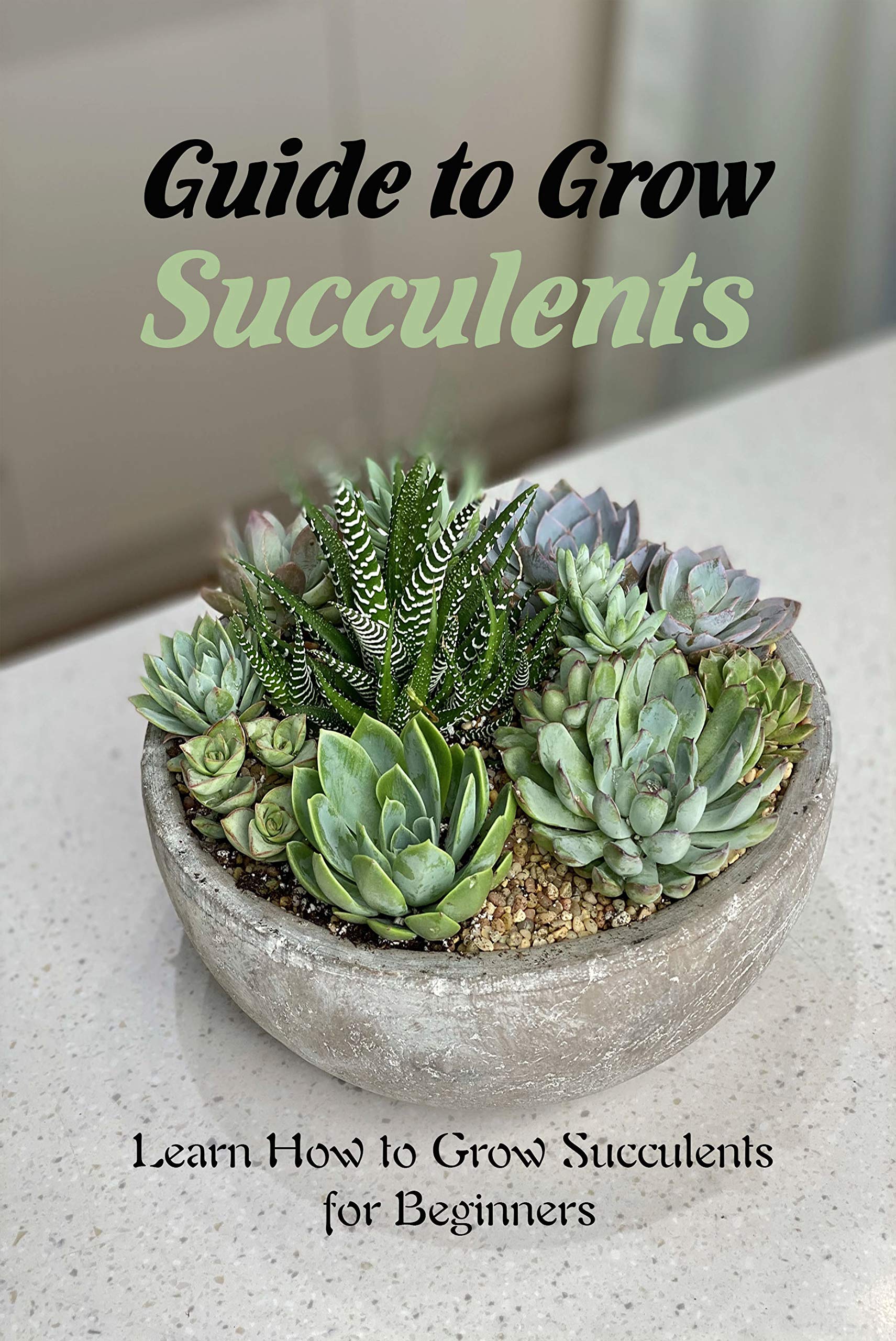 Guide to Grow SucculentsLearn How to Grow Succulents for Beginners