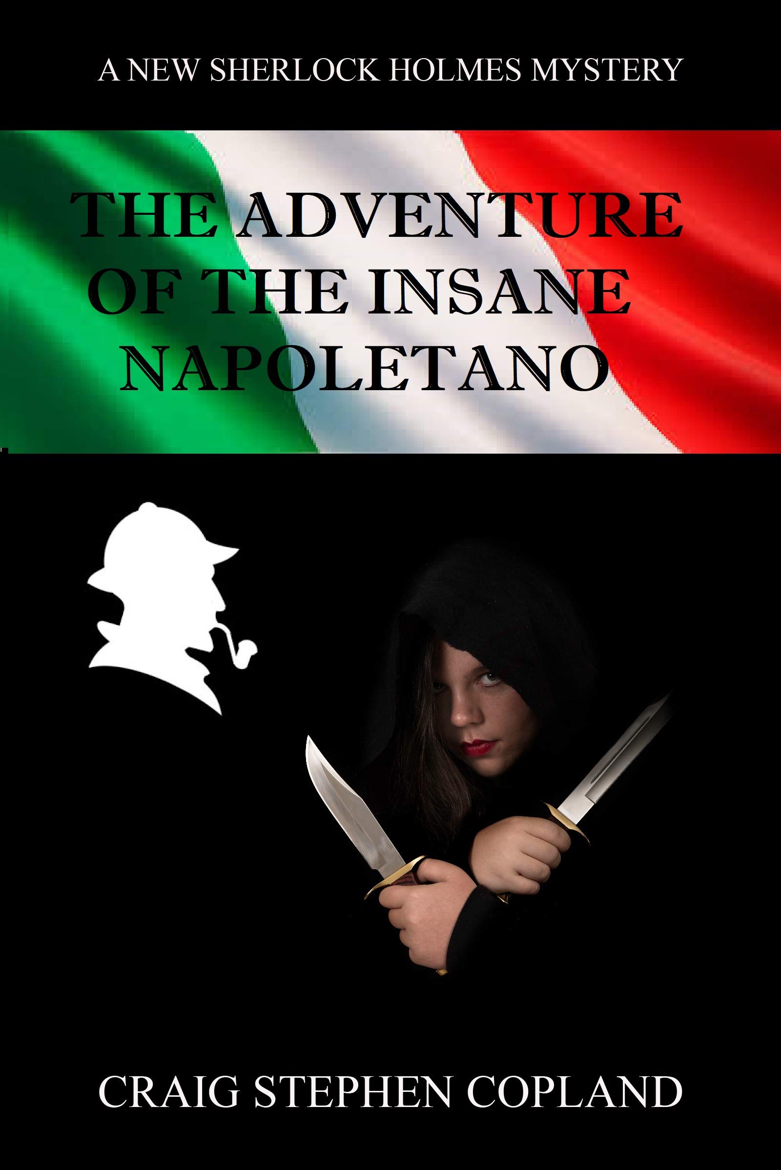 The Adventure of the Insane Napolitano book cover