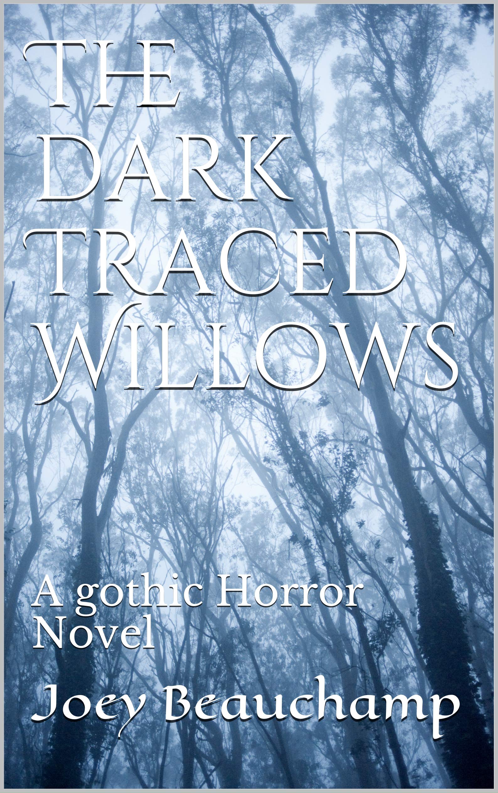 The Dark Traced Willows A Gothic Horror Novel by Joey Beauchamp
