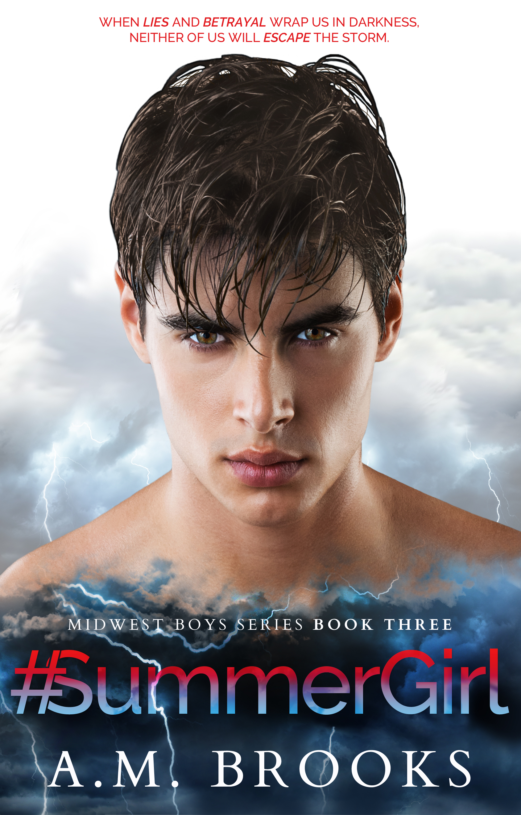Midwest Boys book cover 1