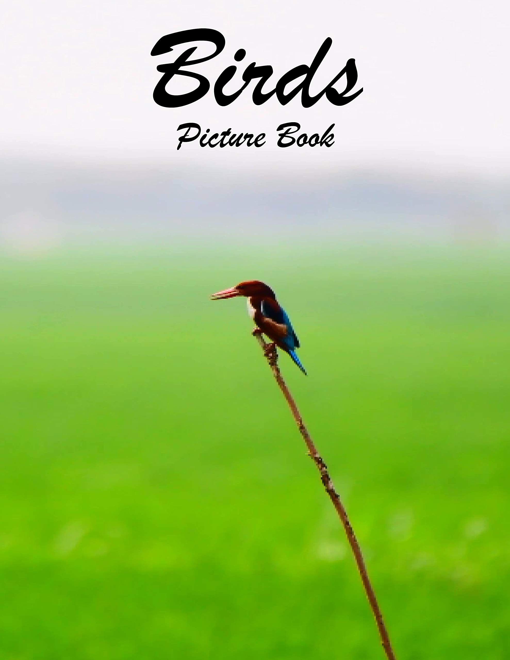 Birds Photography Photo Book A picture book Gift for Human (Beautifull