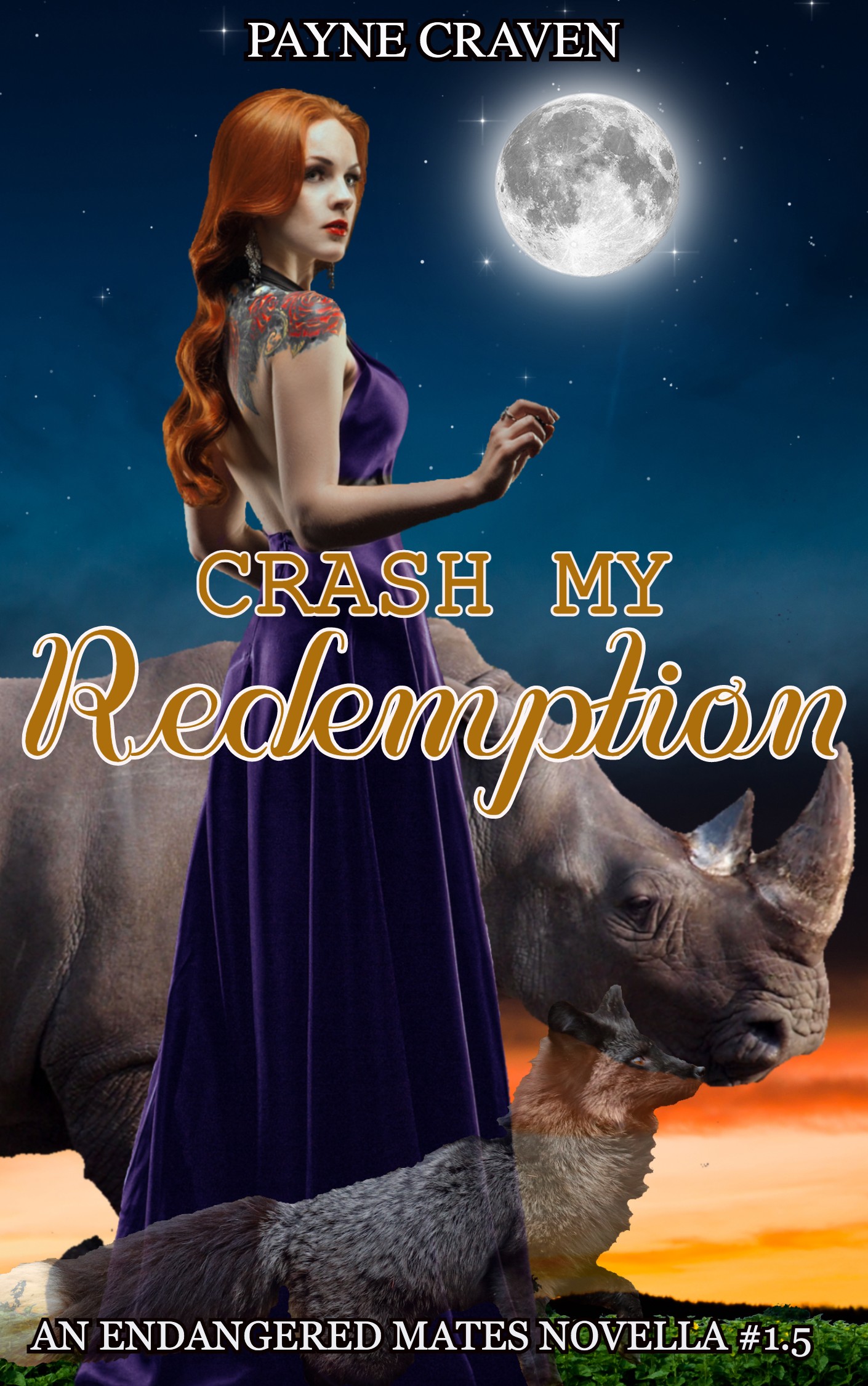 Crash My Redemption book cover