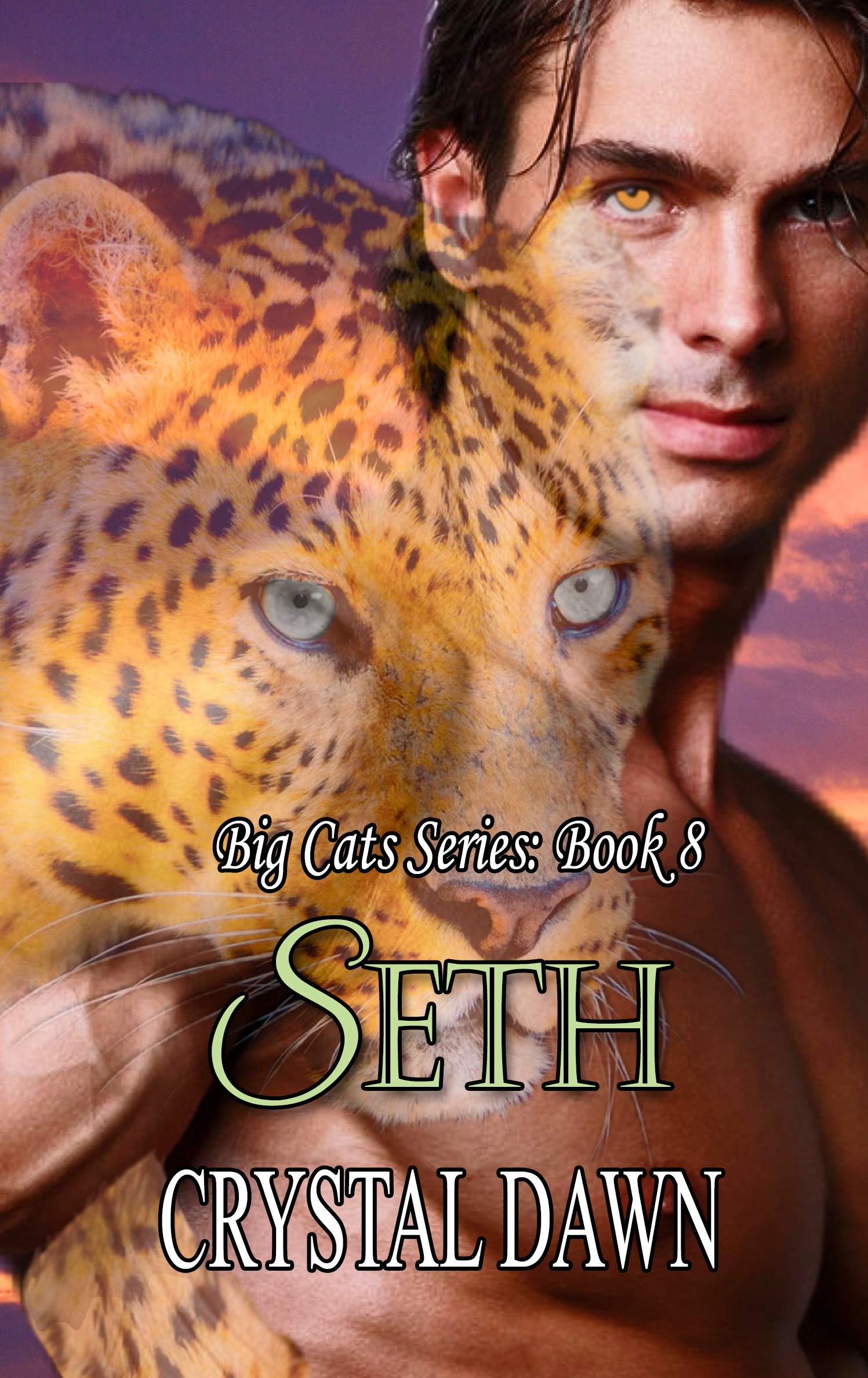 Seth book cover