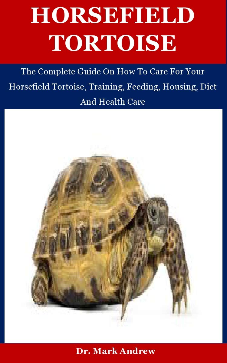 Horsefield Tortoise The Complete Guide On How To Care For Your
