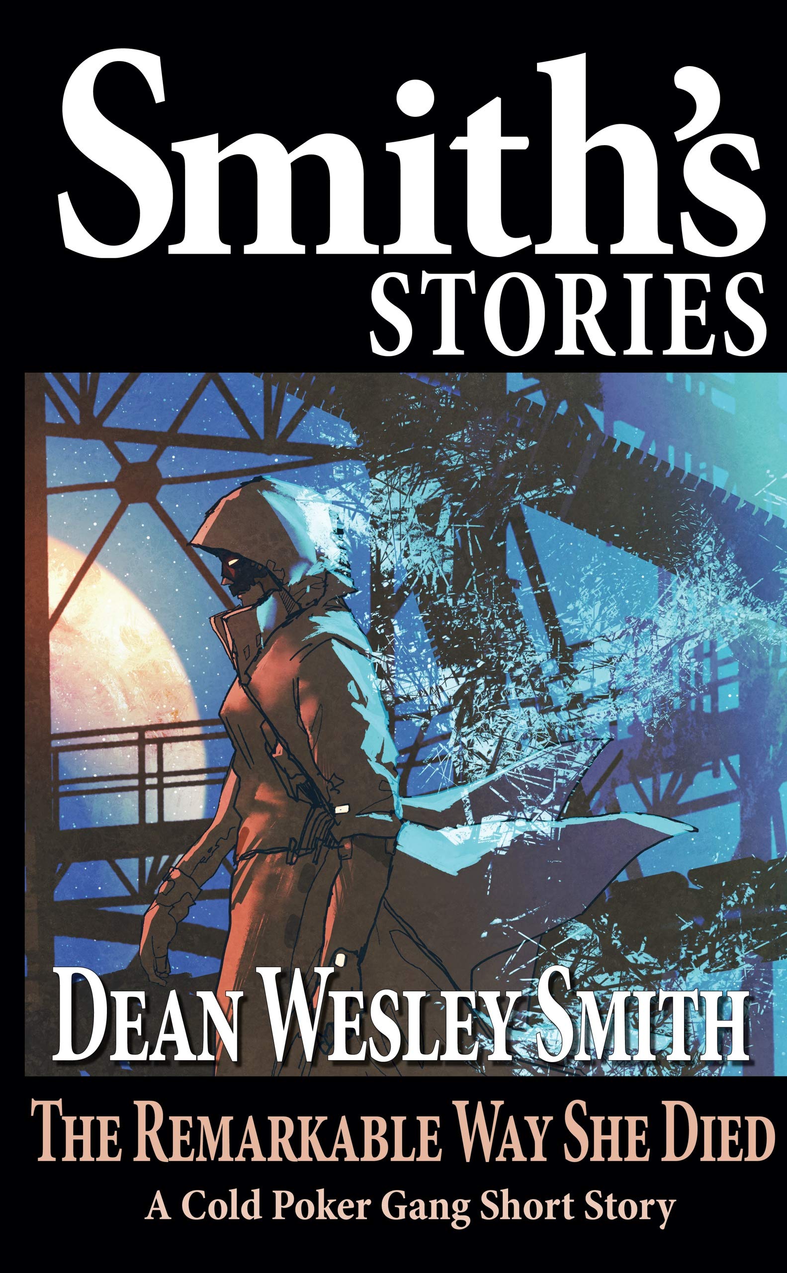 The Remarkable Way She Died book cover