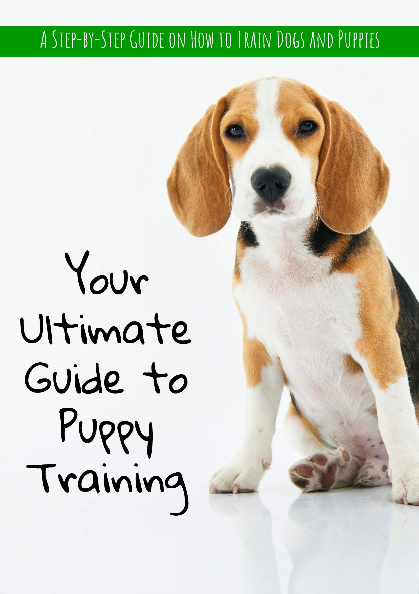 Your Ultimate Guide to Puppy Training Your Step by Step Guide on How