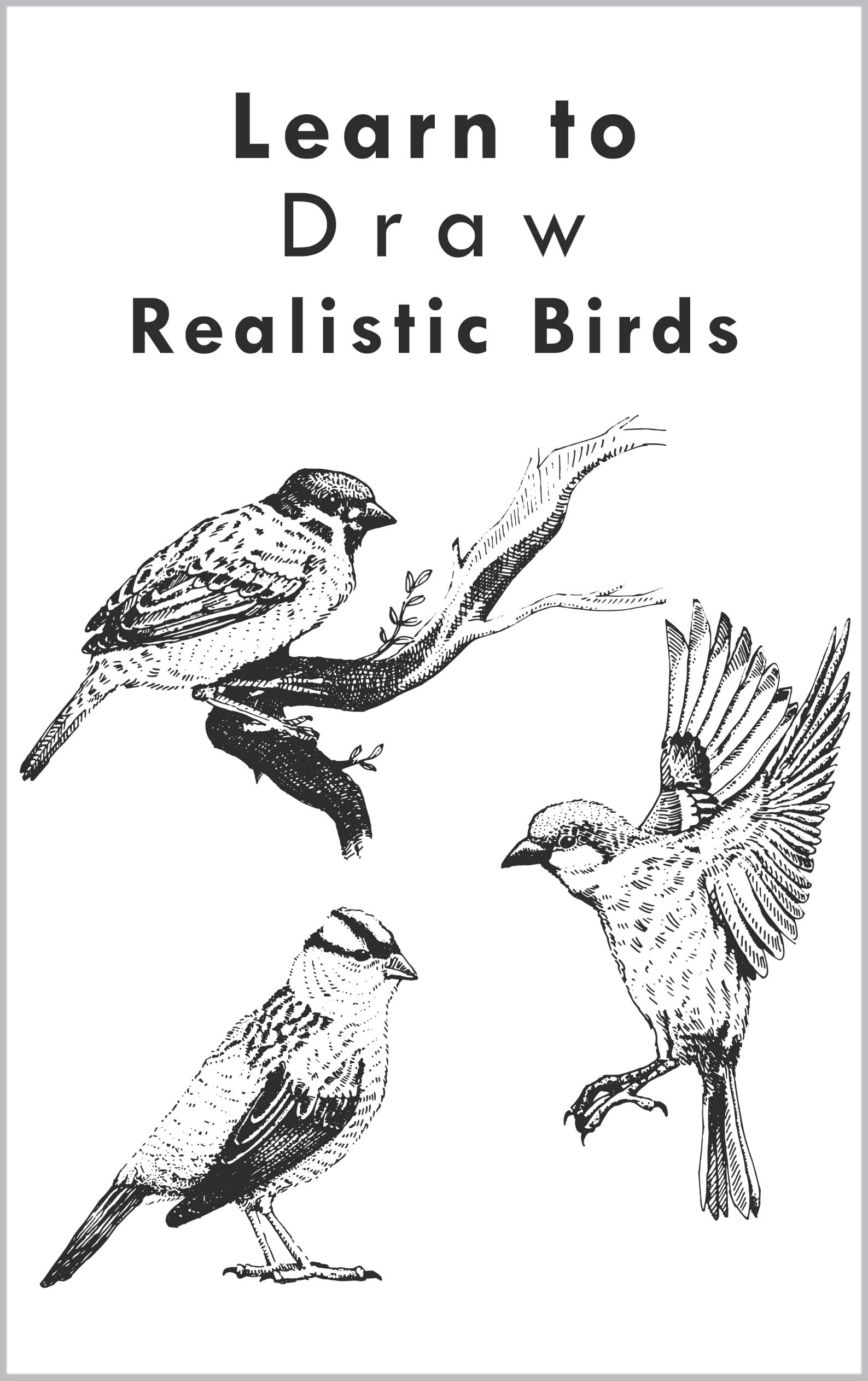 Learn to Draw Realistic Birds: Draw Realistic Birds Step by Step, How