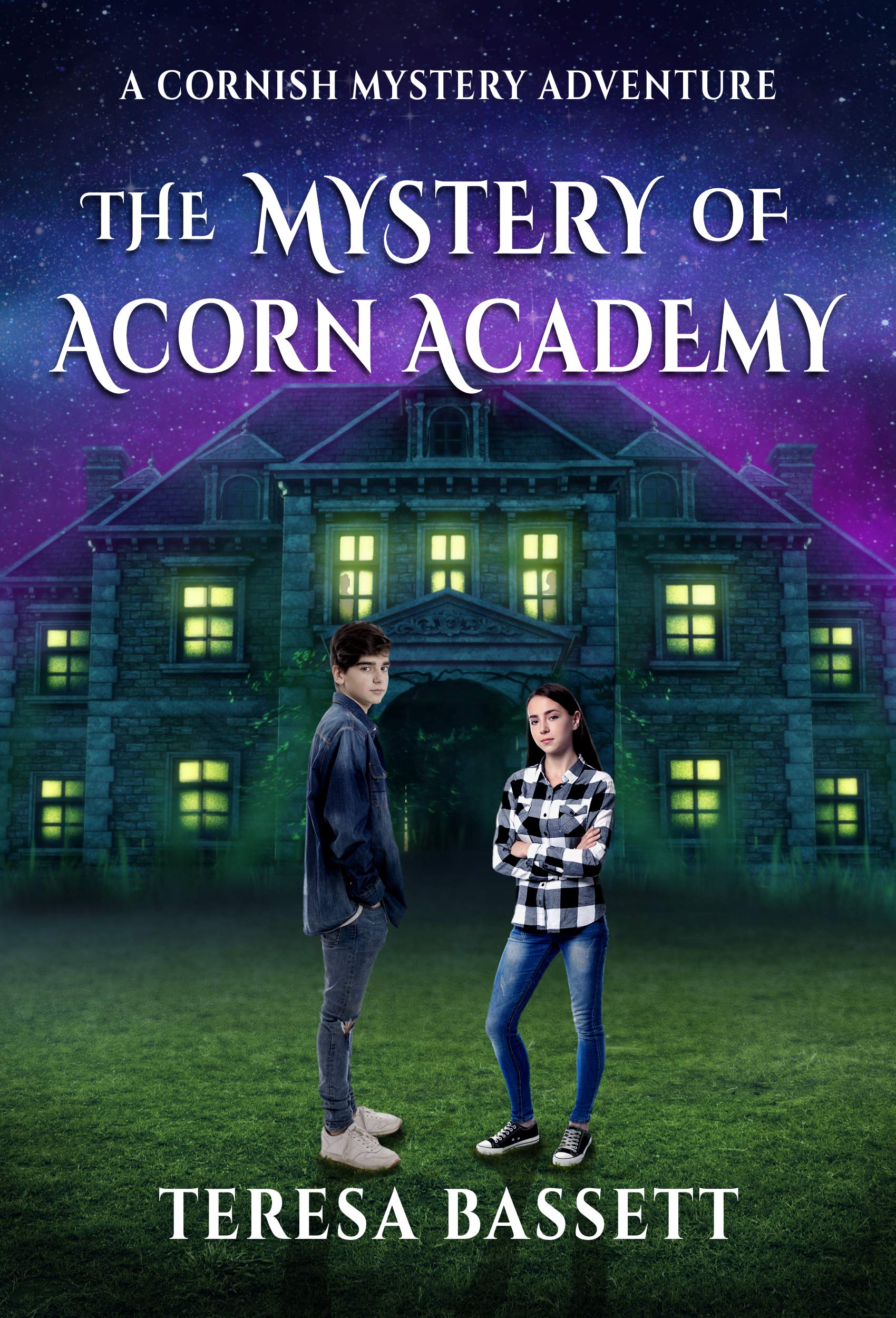 The Mystery of Acorn Academy book cover
