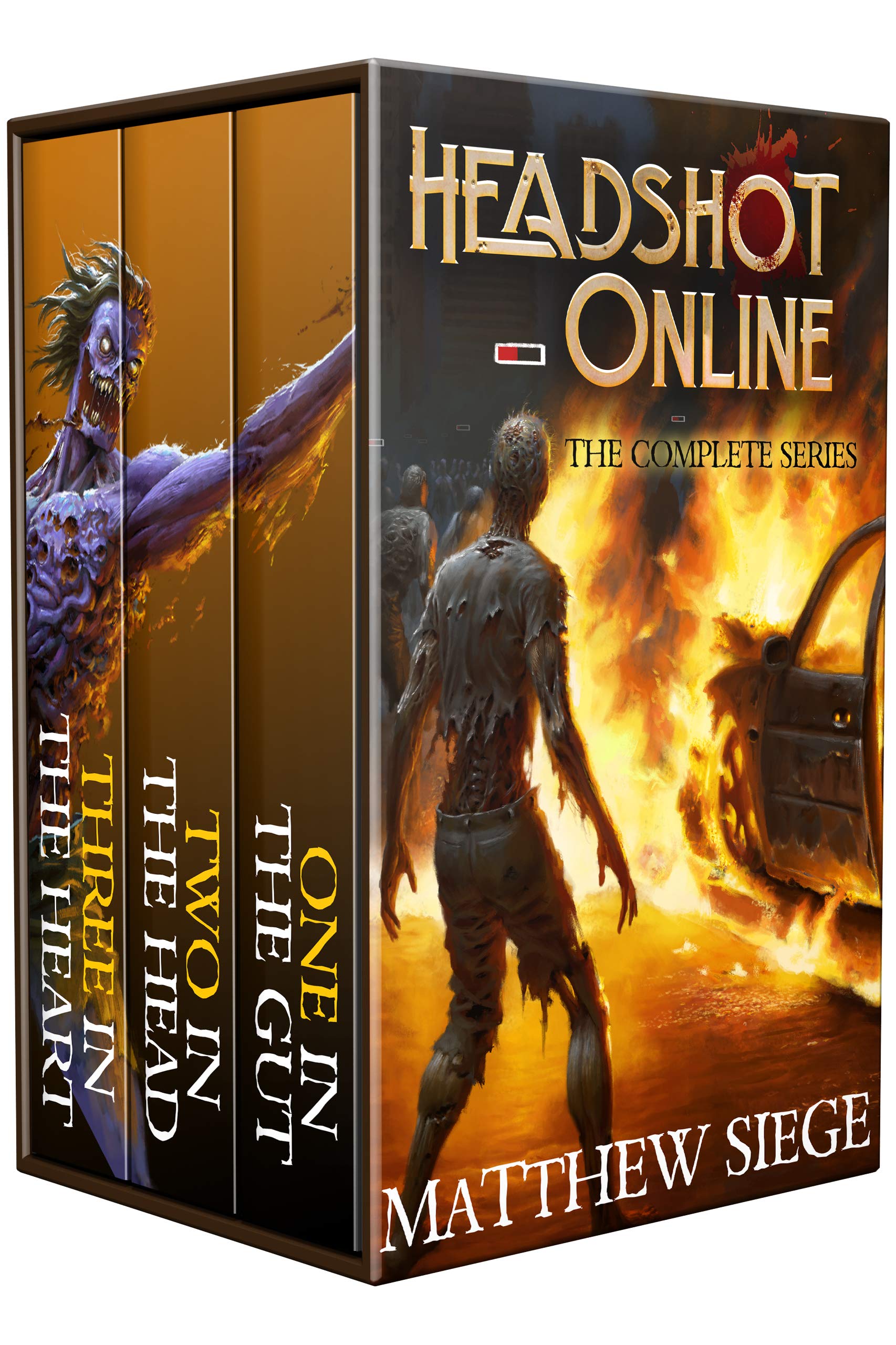 Headshot Online The Complete Series (A LitRPG Box Set Books 13) by