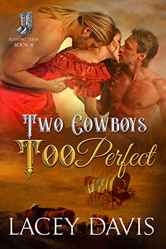 Two Cowboys Too Perfect book cover