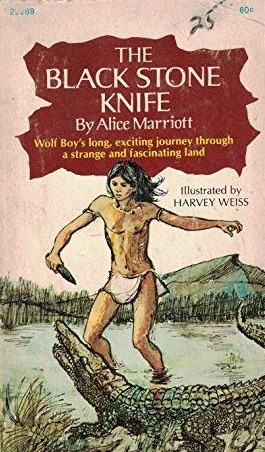 The Black Stone Knife book cover