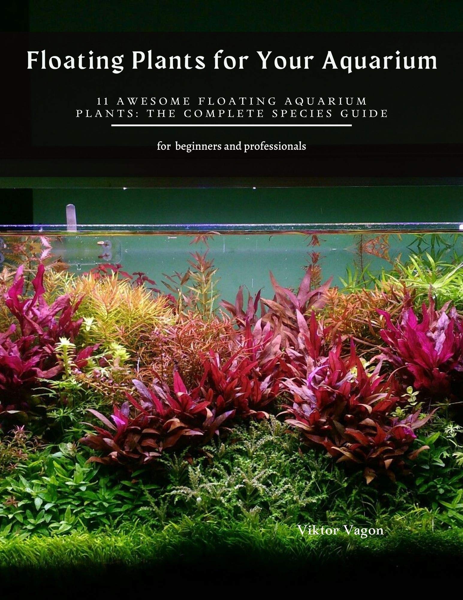 Floating Plants for Your Aquarium 11 Awesome Floating Aquarium Plants The Complete Species