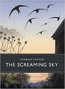 The Screaming Sky book cover