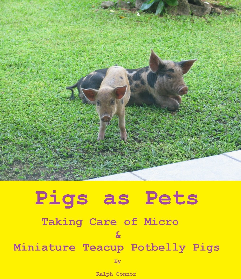 Teacup Pigs as Pets Taking Care of Micro & Miniature Teacup Potbelly Pigs by Ralph Connor