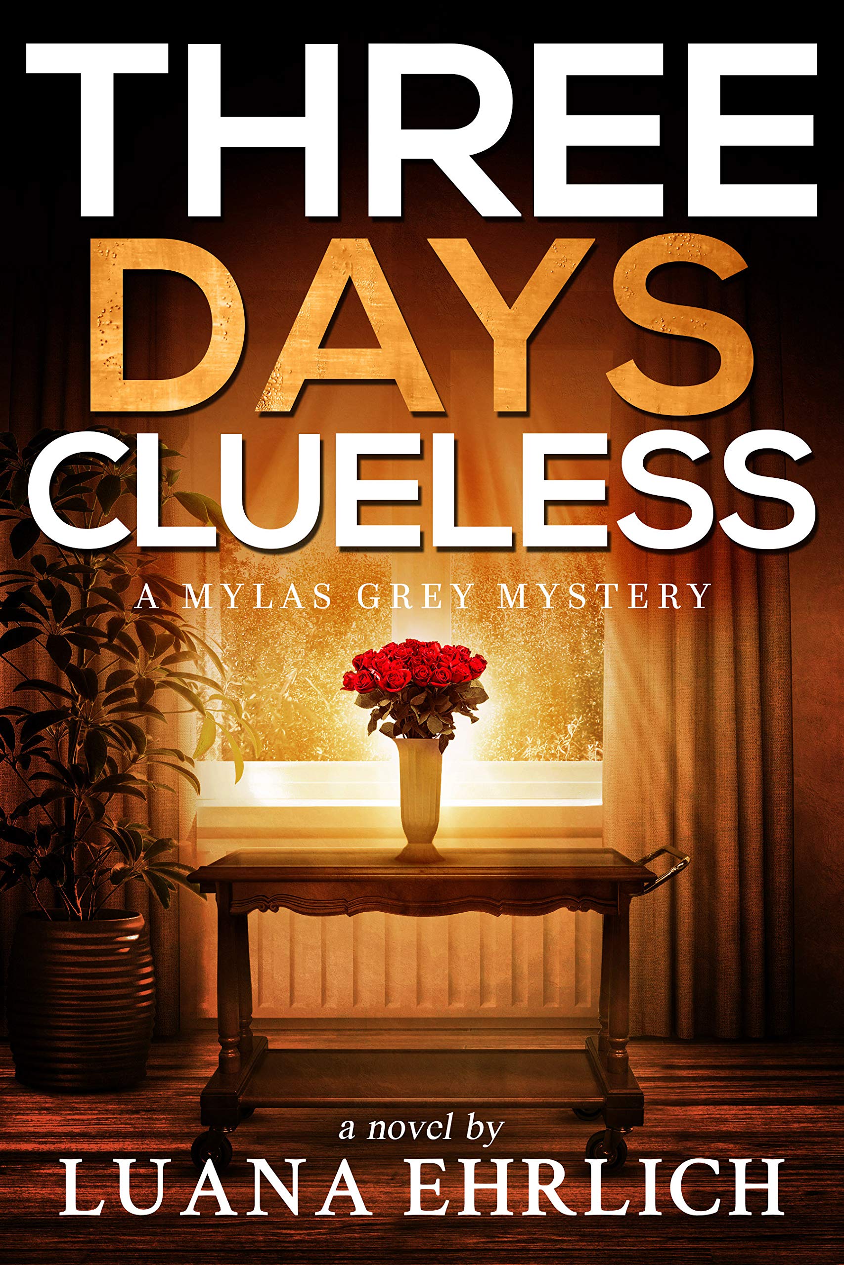 Three Days Clueless book cover