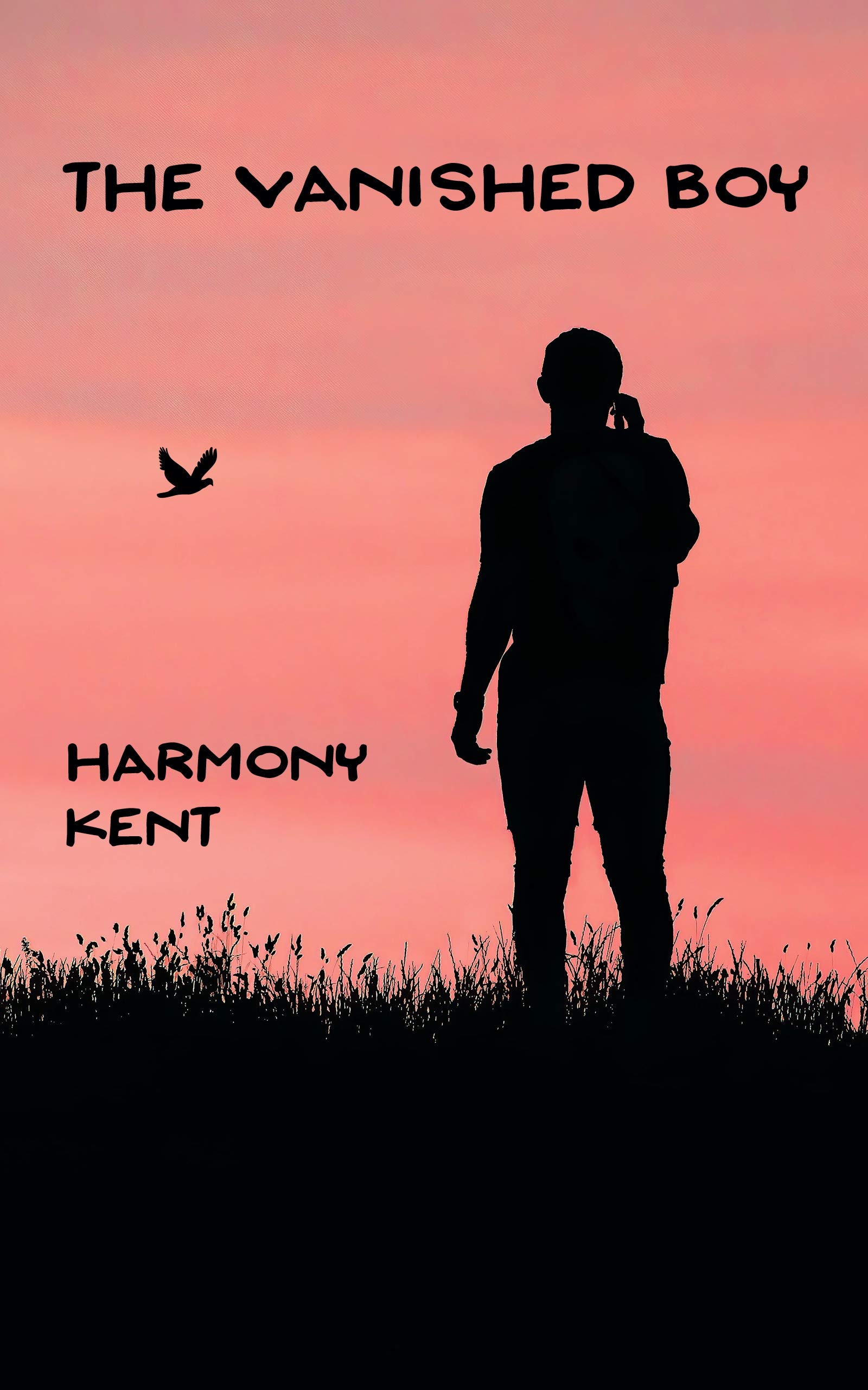 The Vanished Boy book cover