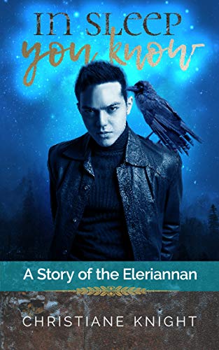 Stories of the Eleriannan book cover 1