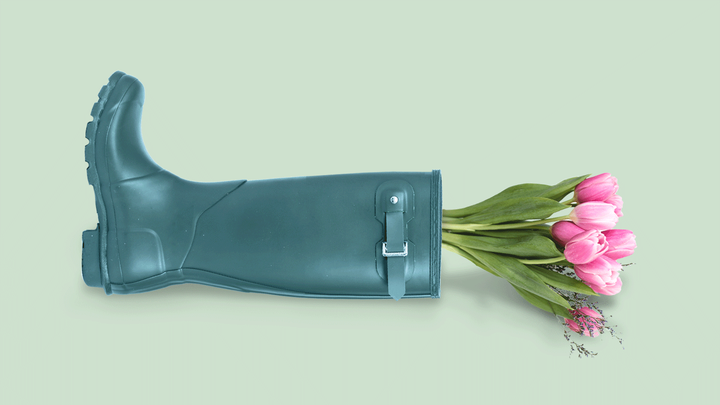 the irish wedding book cover