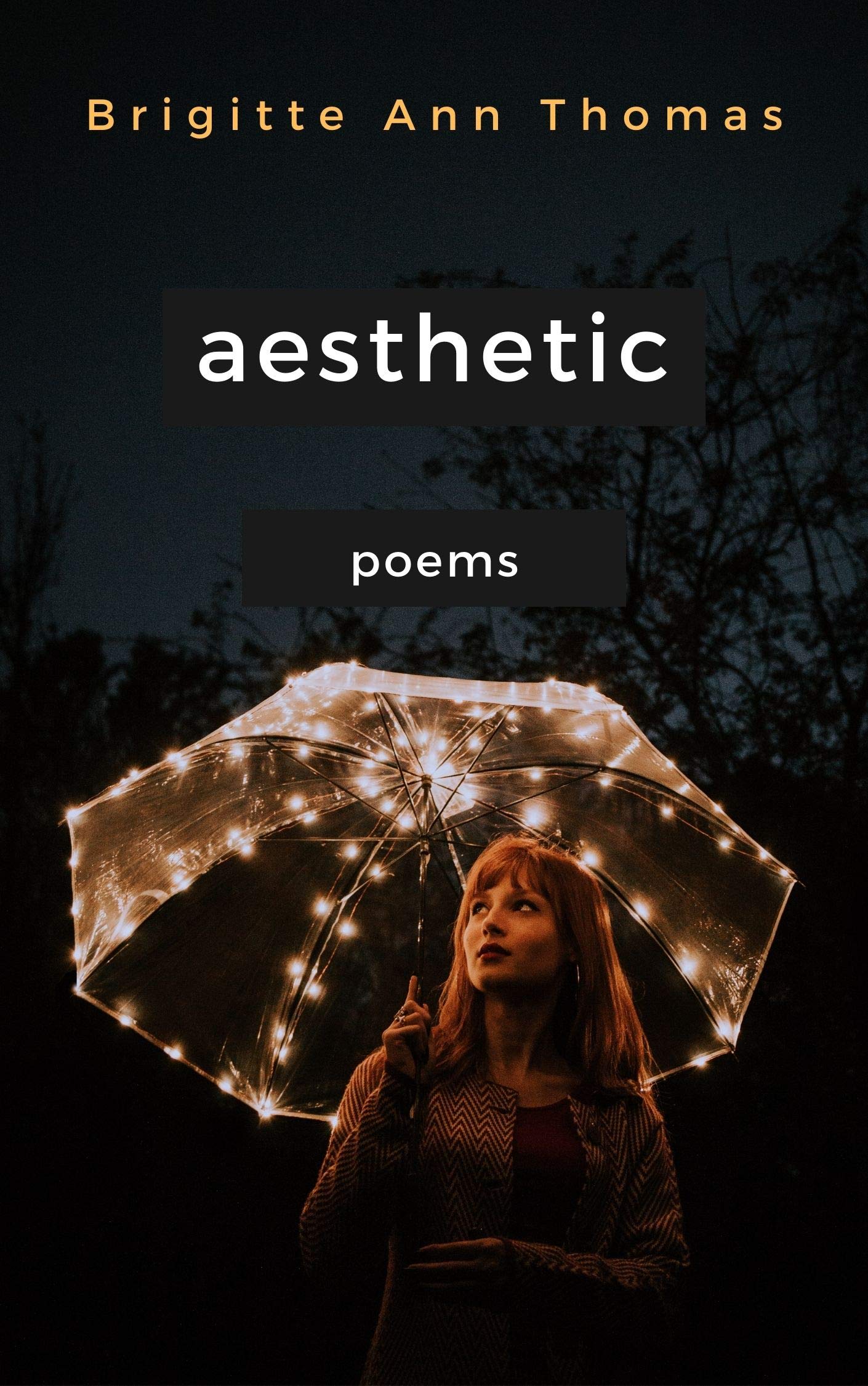 Aesthetic book cover