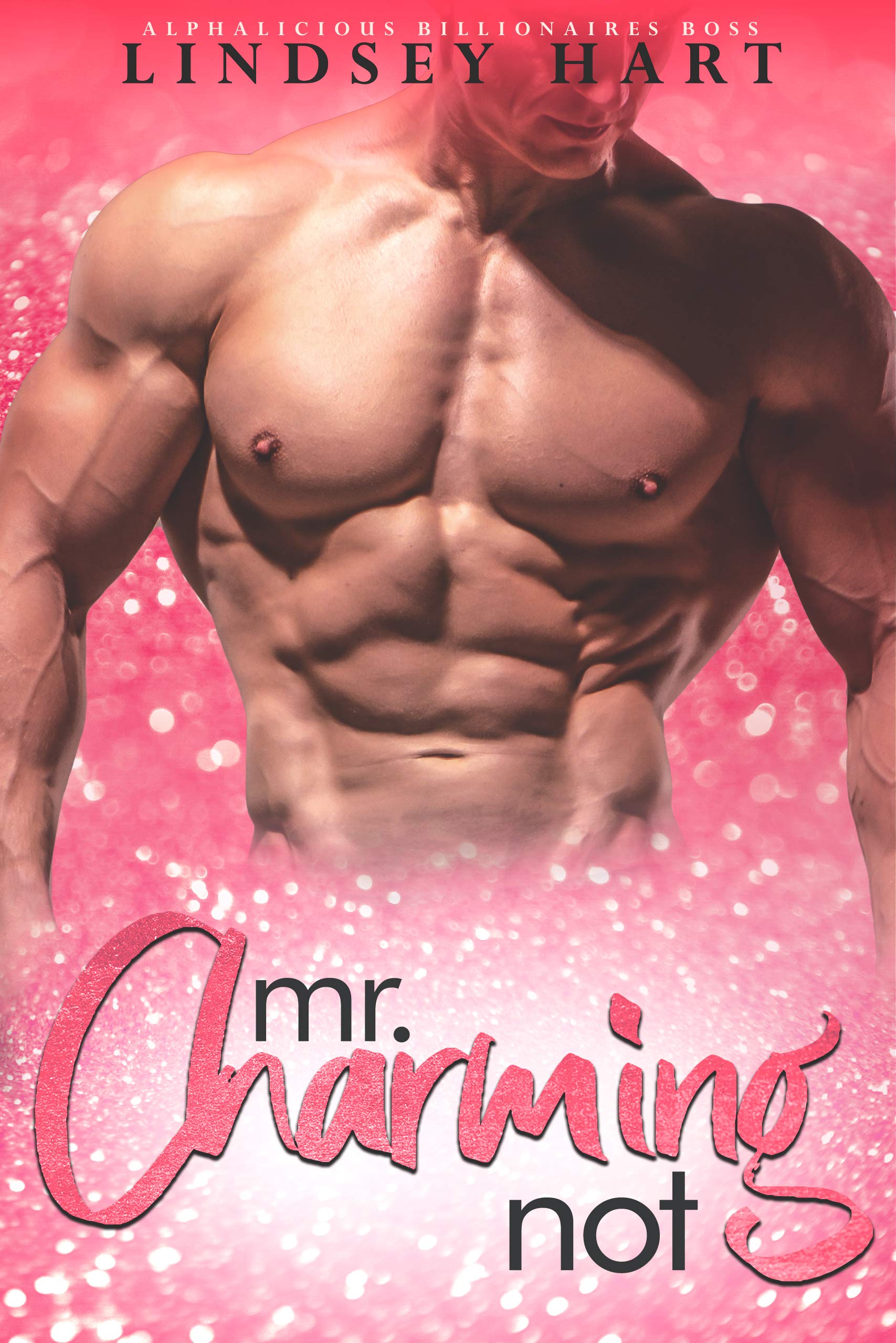 Mr. Charming (Not) book cover