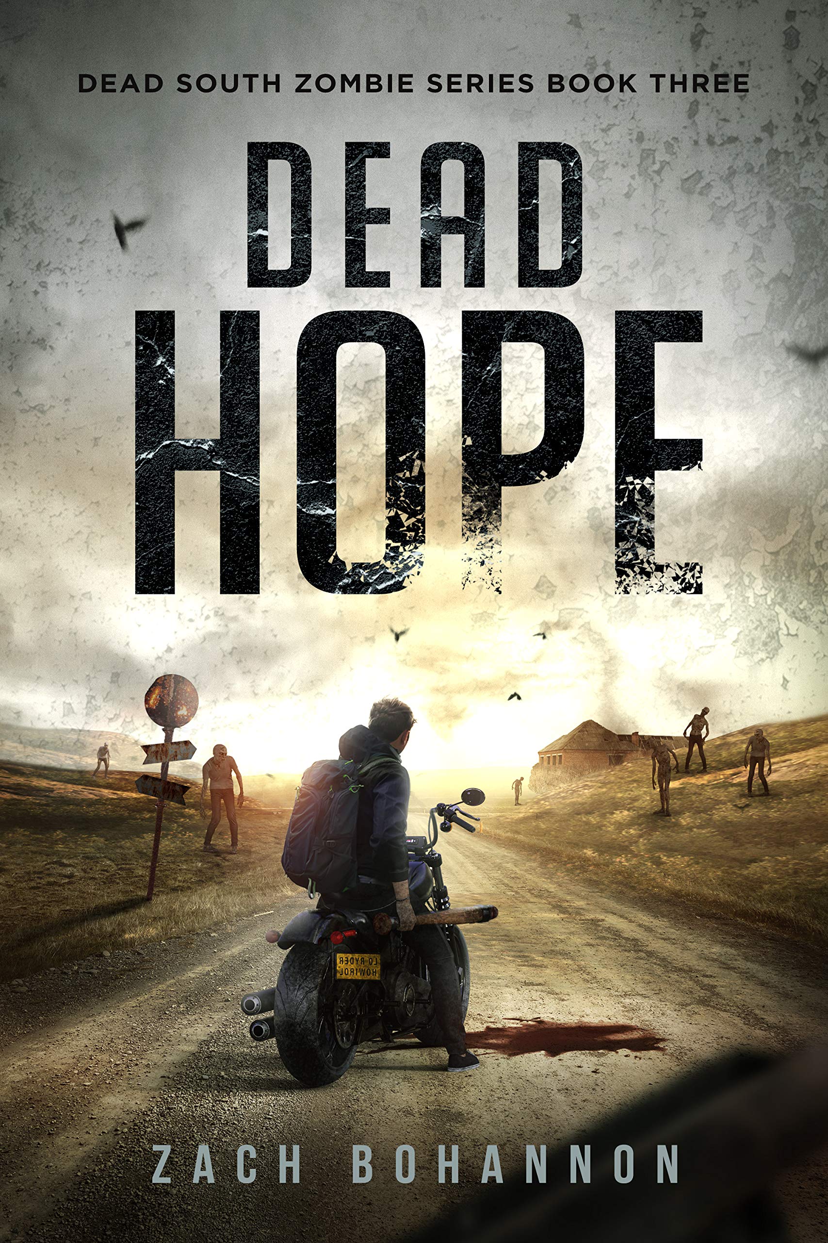 Dead Hope: A Post-Apocalyptic Zombie Thriller