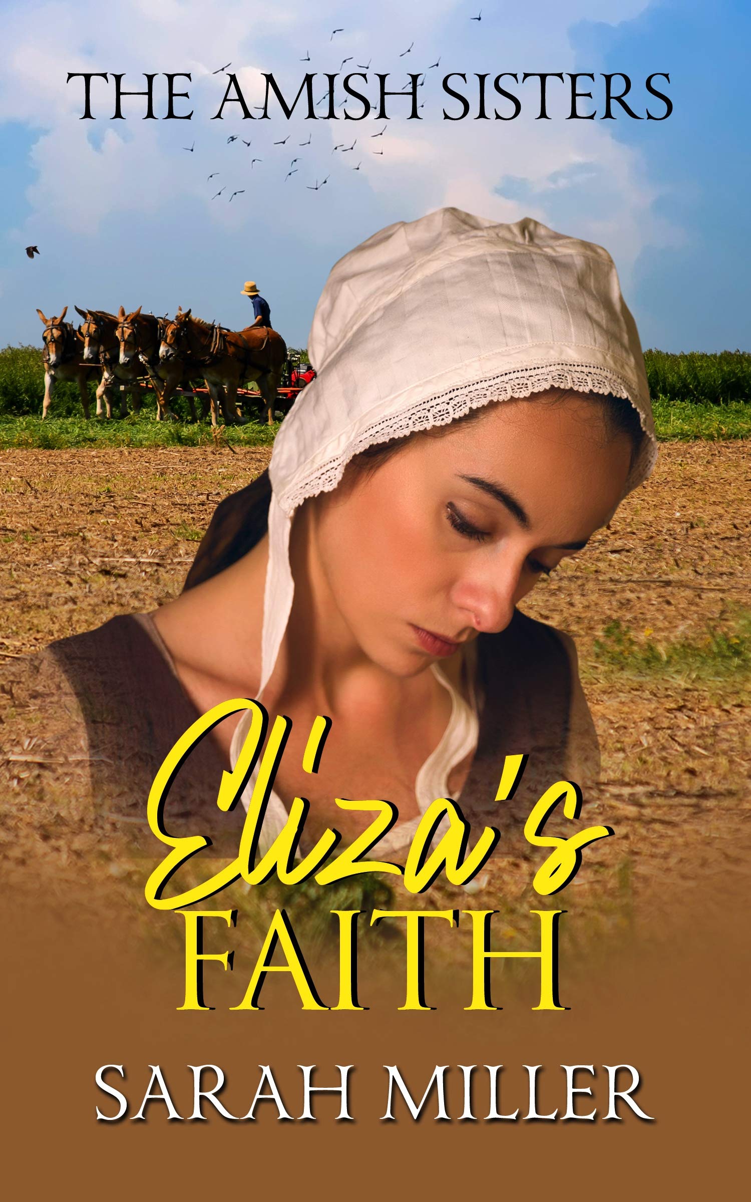 Eliza's Faith book cover
