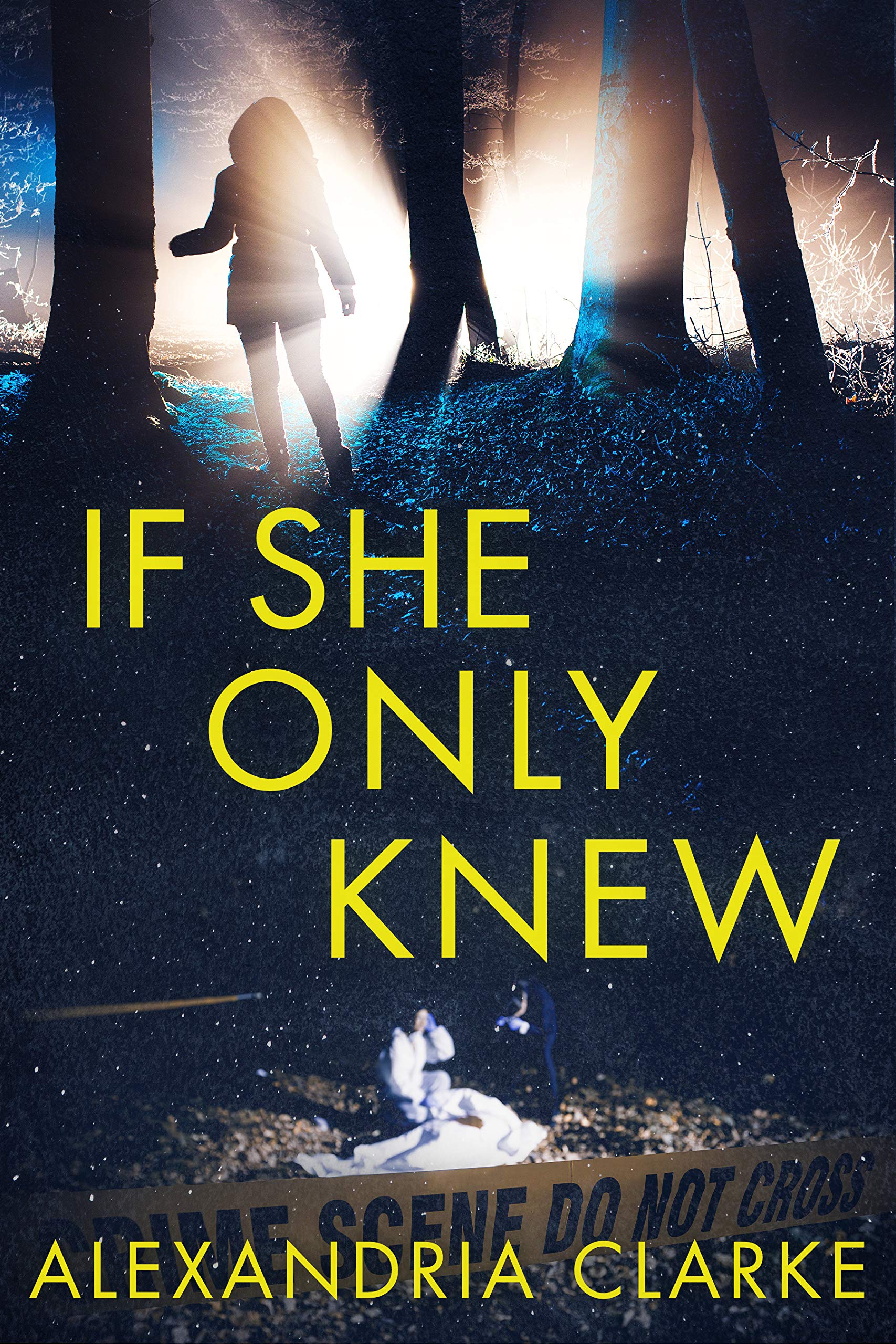 If She Only Knew book cover