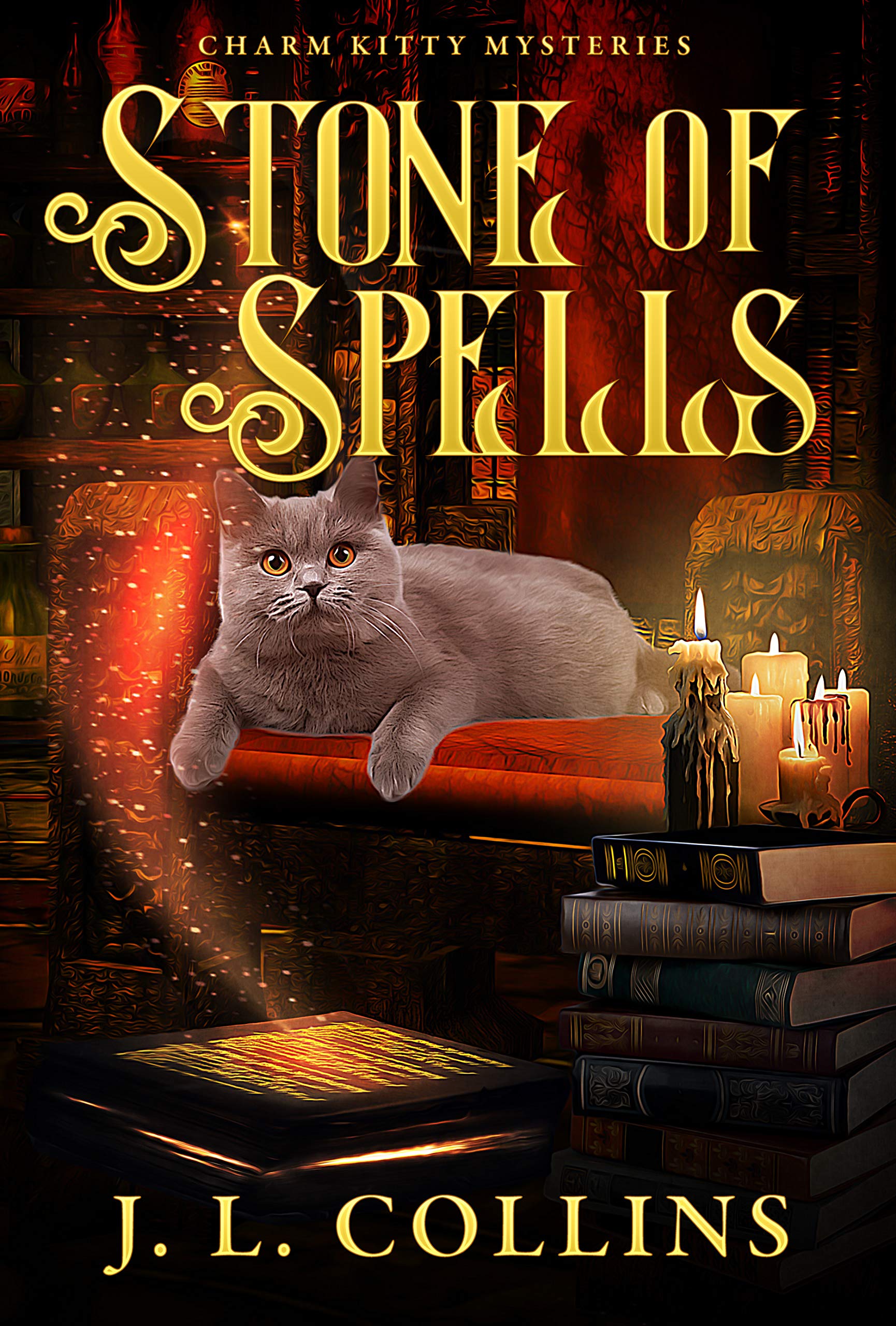 Charm Kitty book cover 1