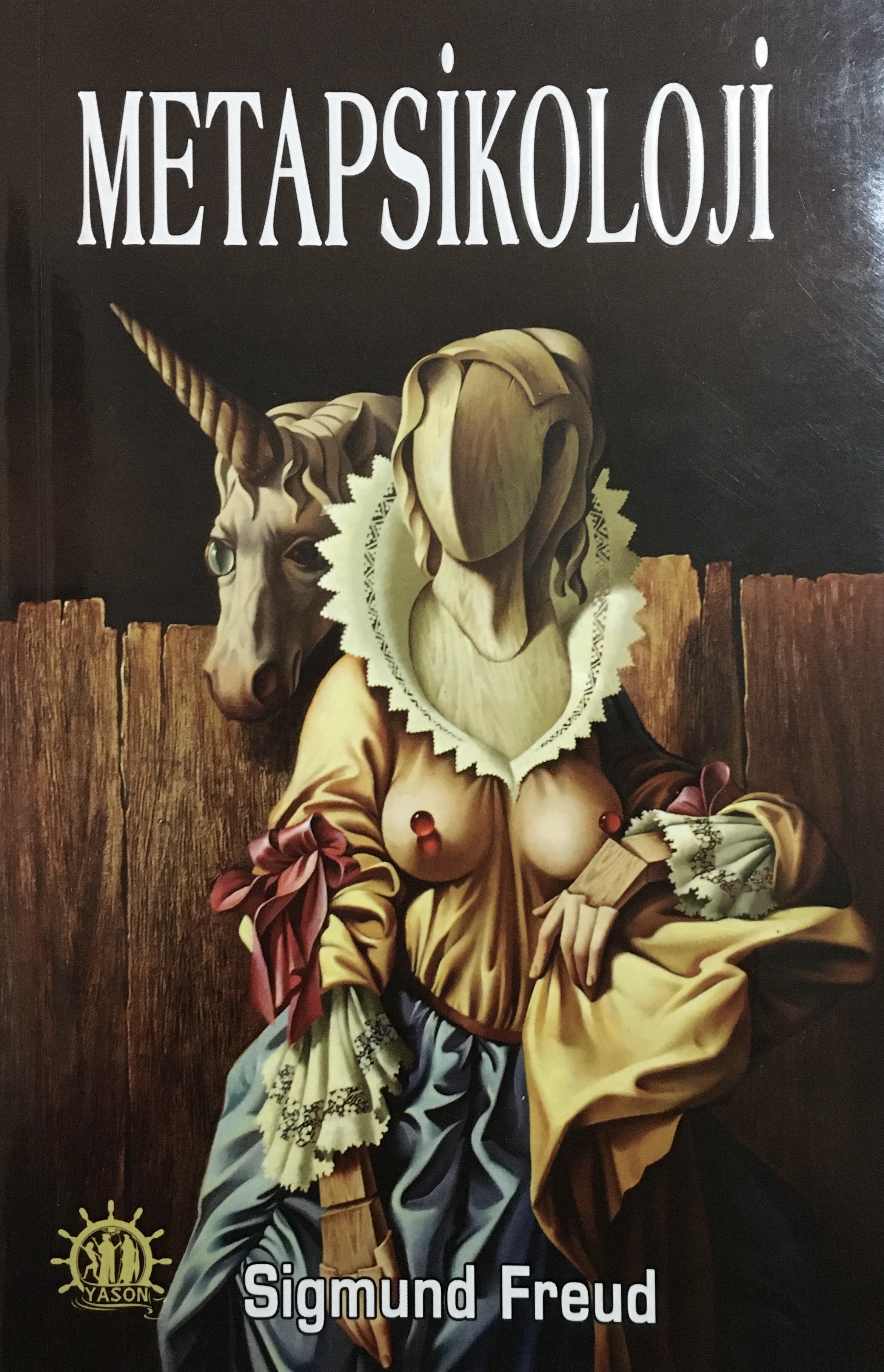 Metapsikoloji book cover