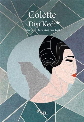 Disi Kedi book cover