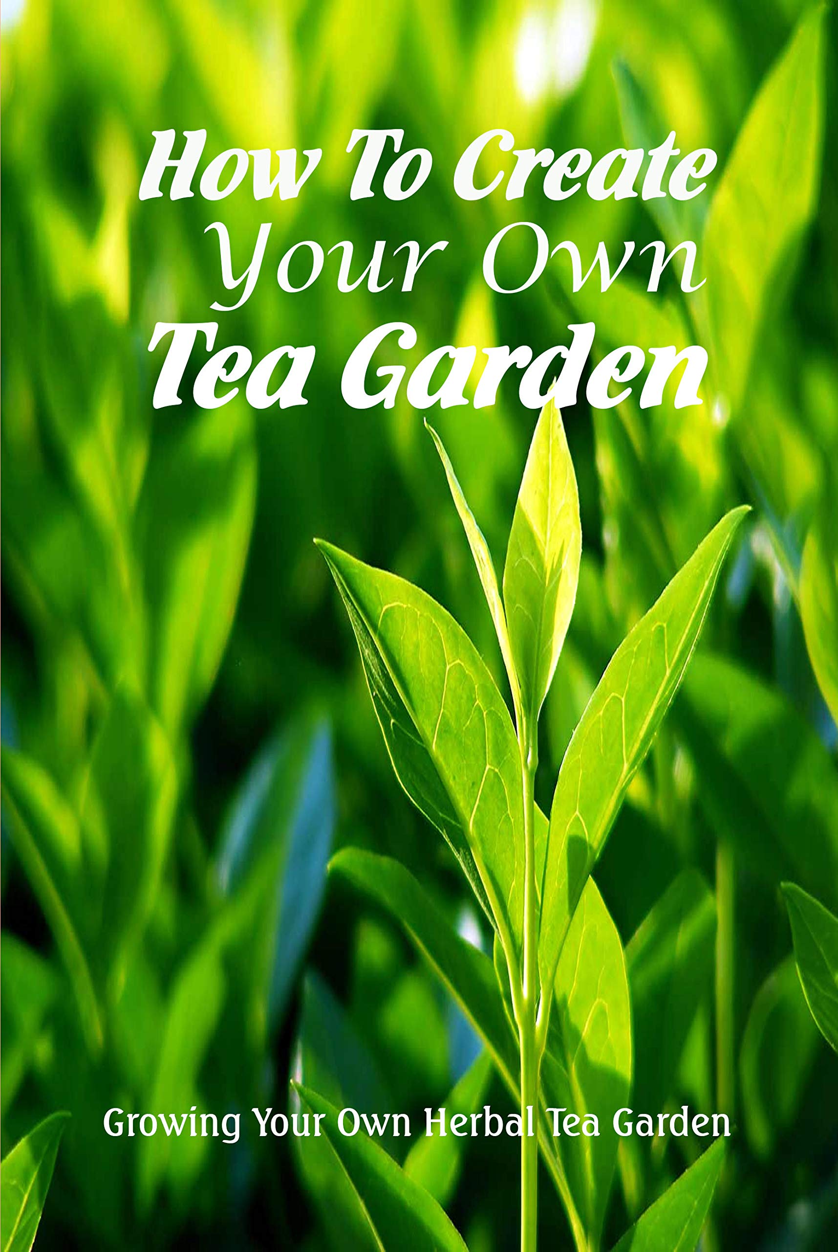How To Create Your Own Tea Garden Growing Your Own Herbal Tea Garden