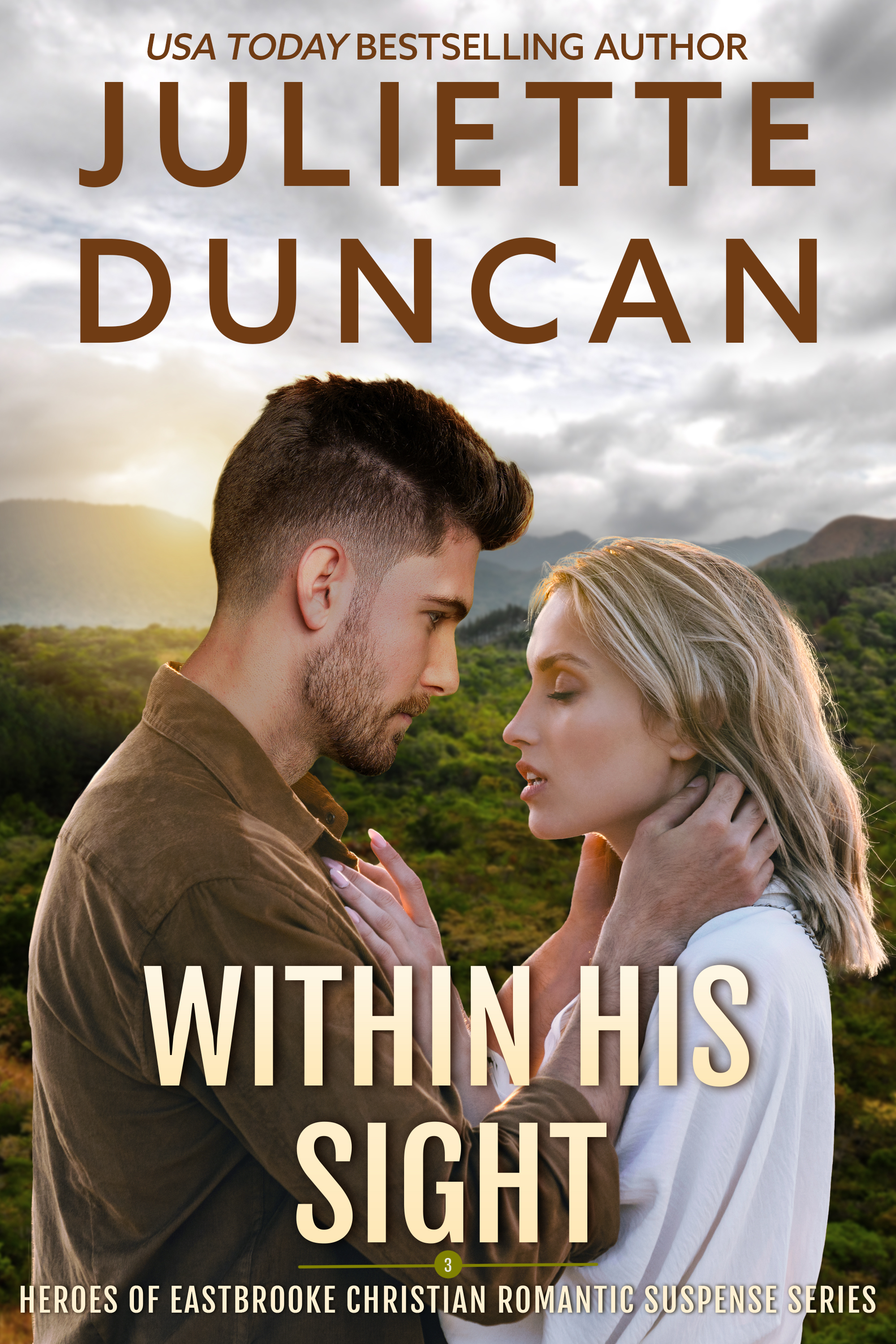 Within His Sight book cover