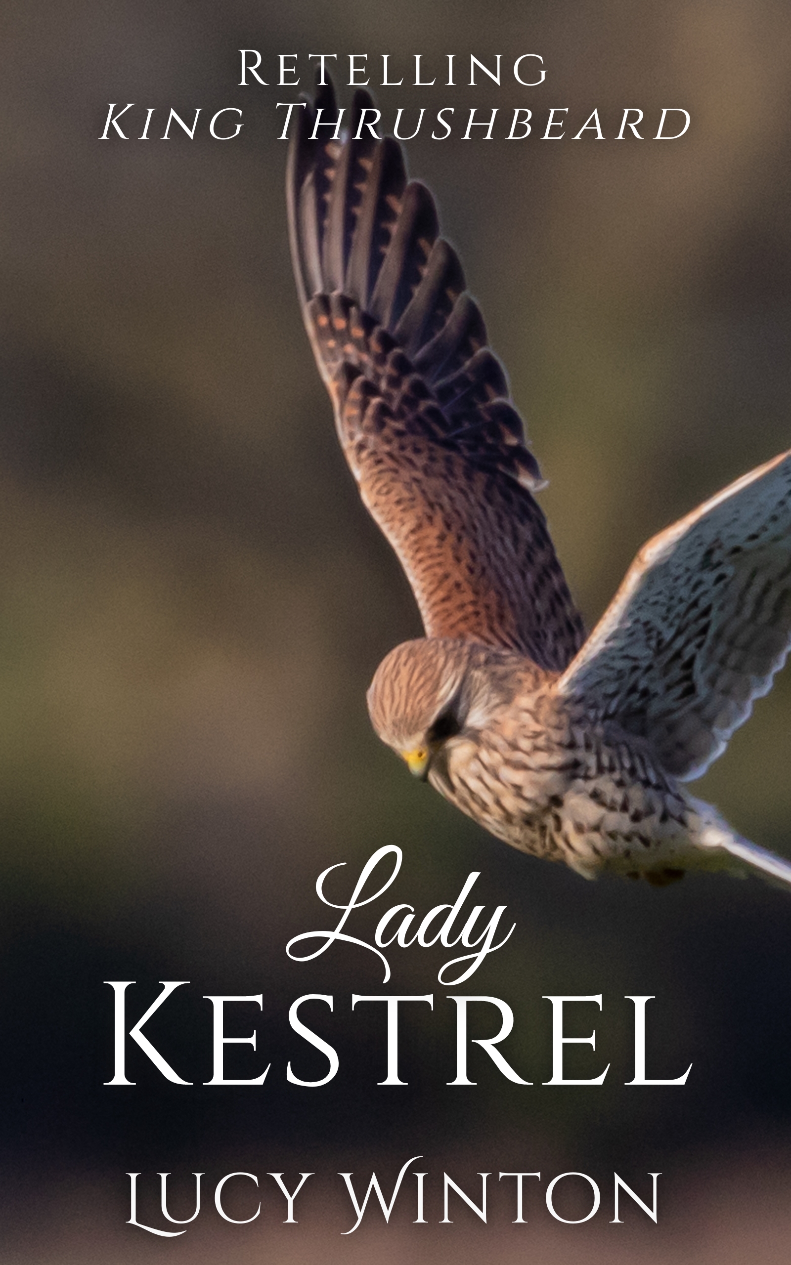Lady Kestrel: Retelling 'King Thrushbeard'