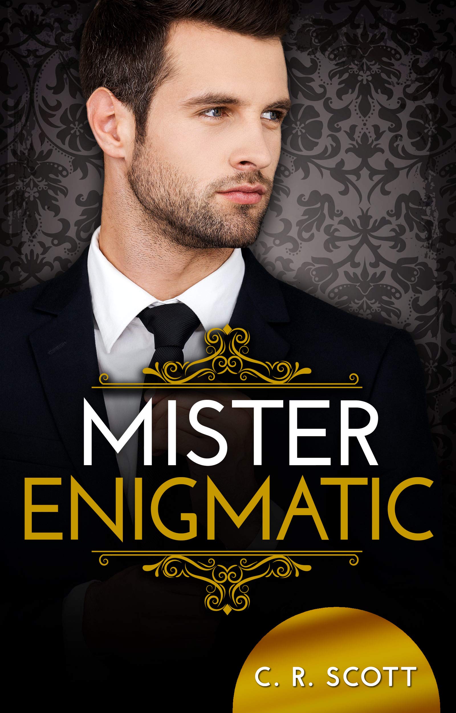 Mister Enigmatic book cover
