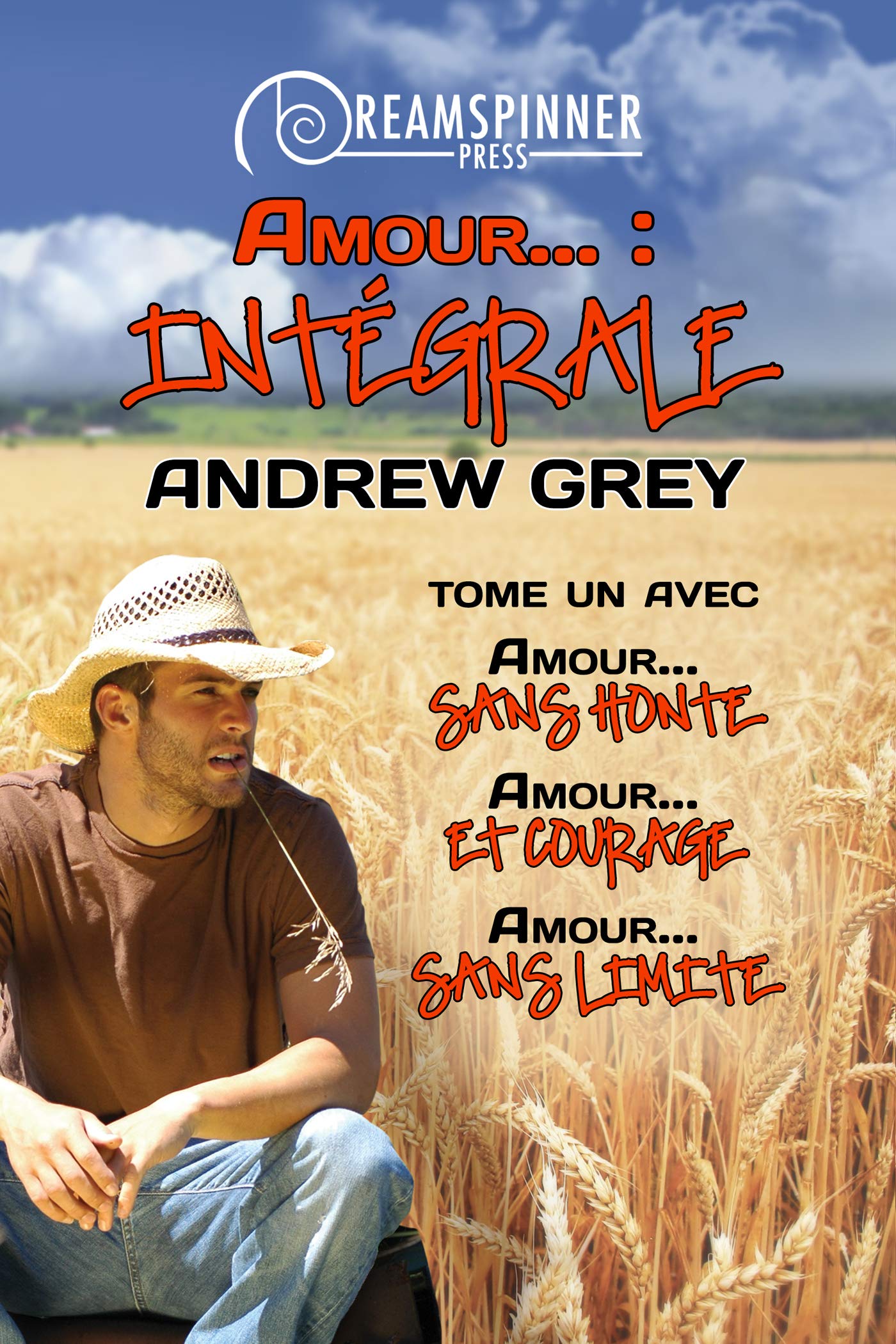 Amour... book cover