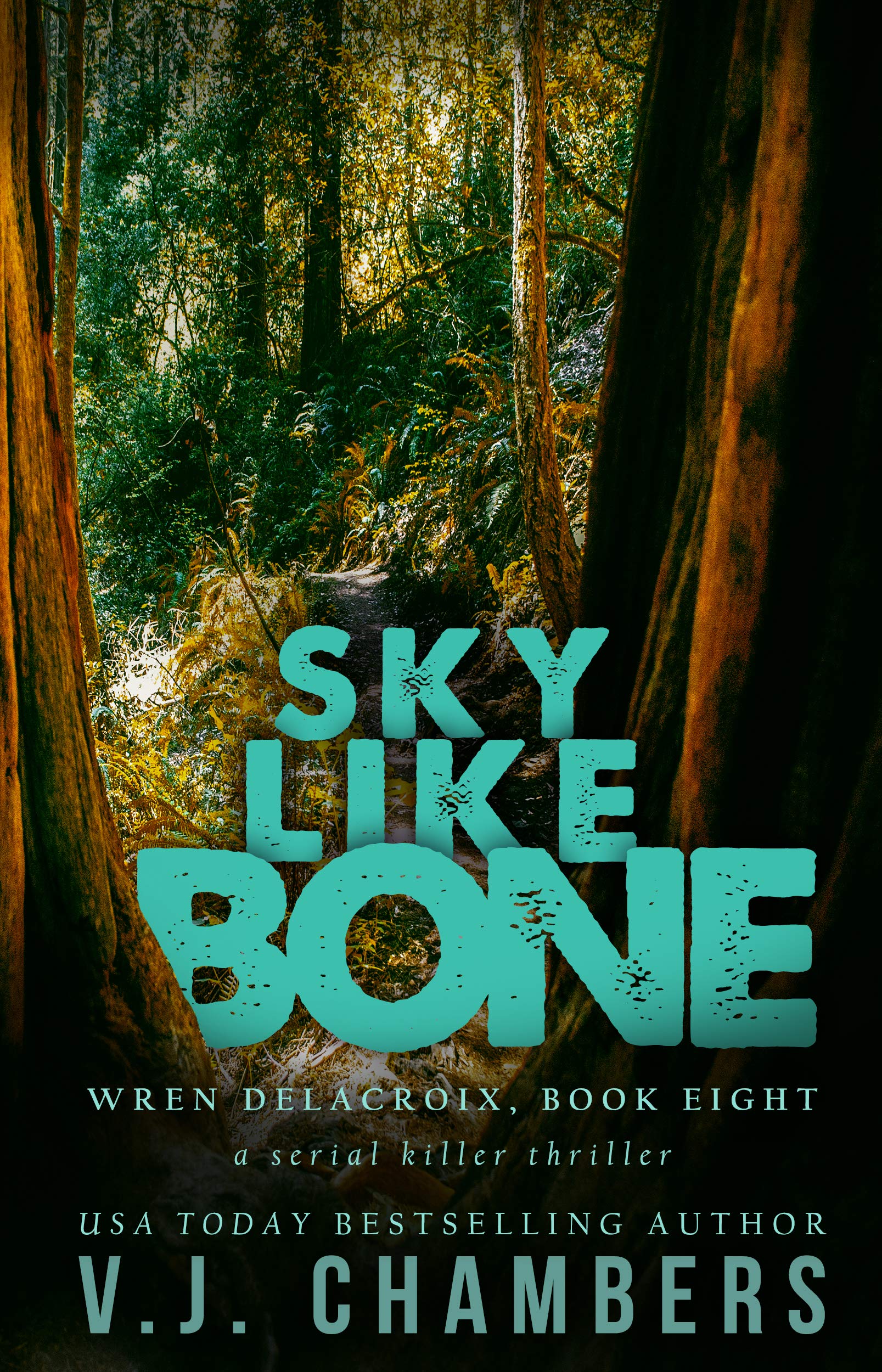 Sky Like Bone book cover
