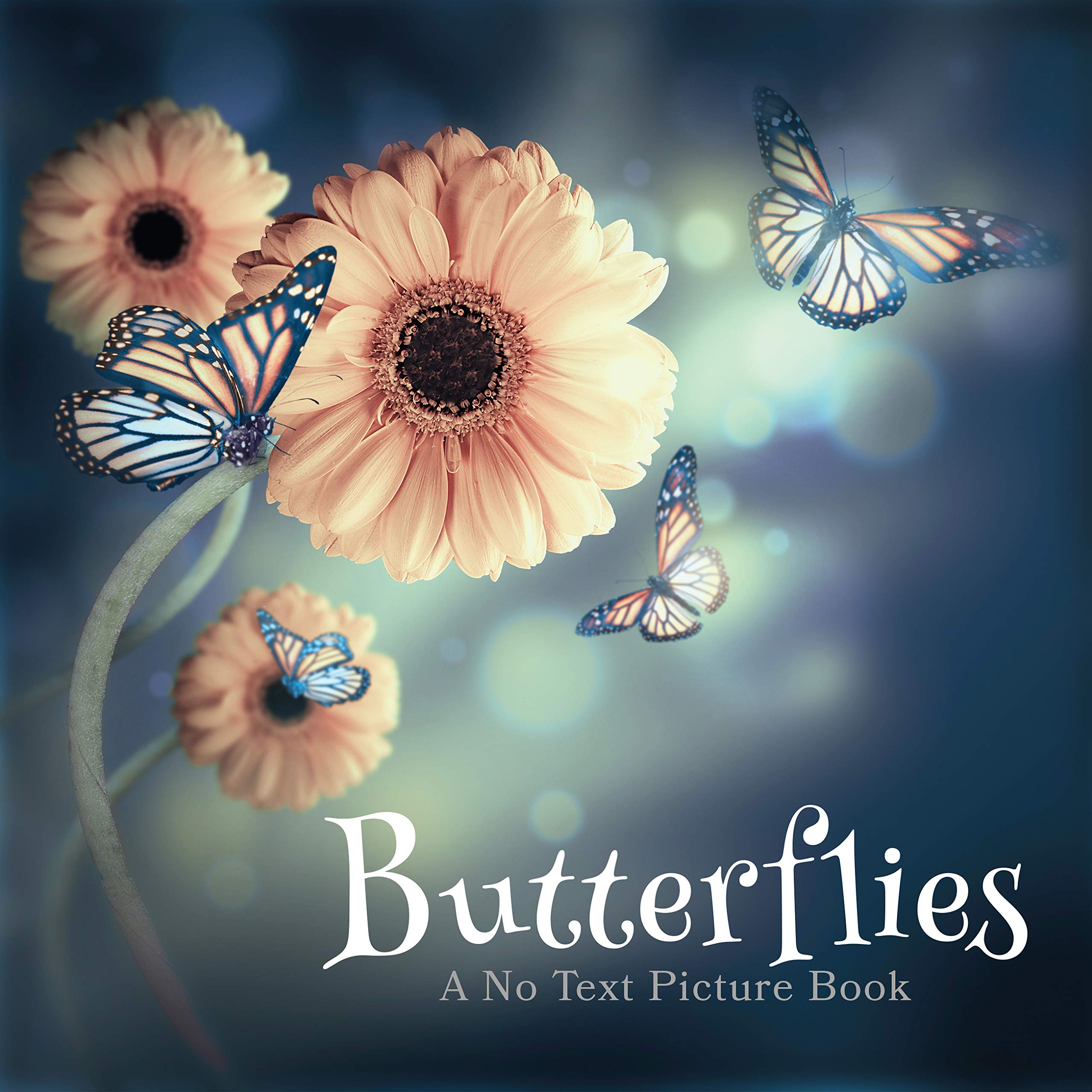 Butterflies, A No Text Picture Book A Calming Gift for