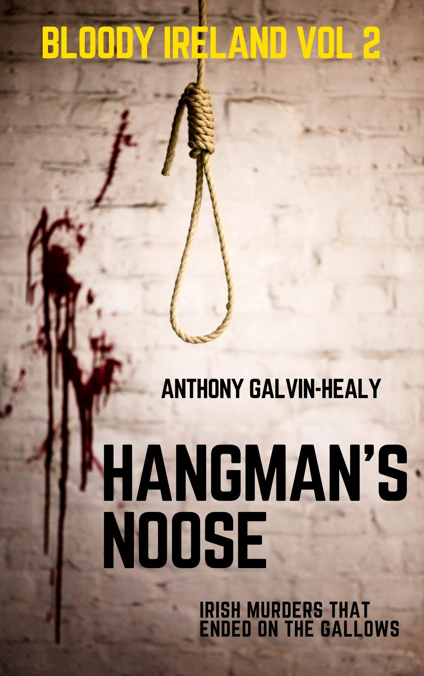 Hangman's Noose: Irish Murders that ended on the Gallows