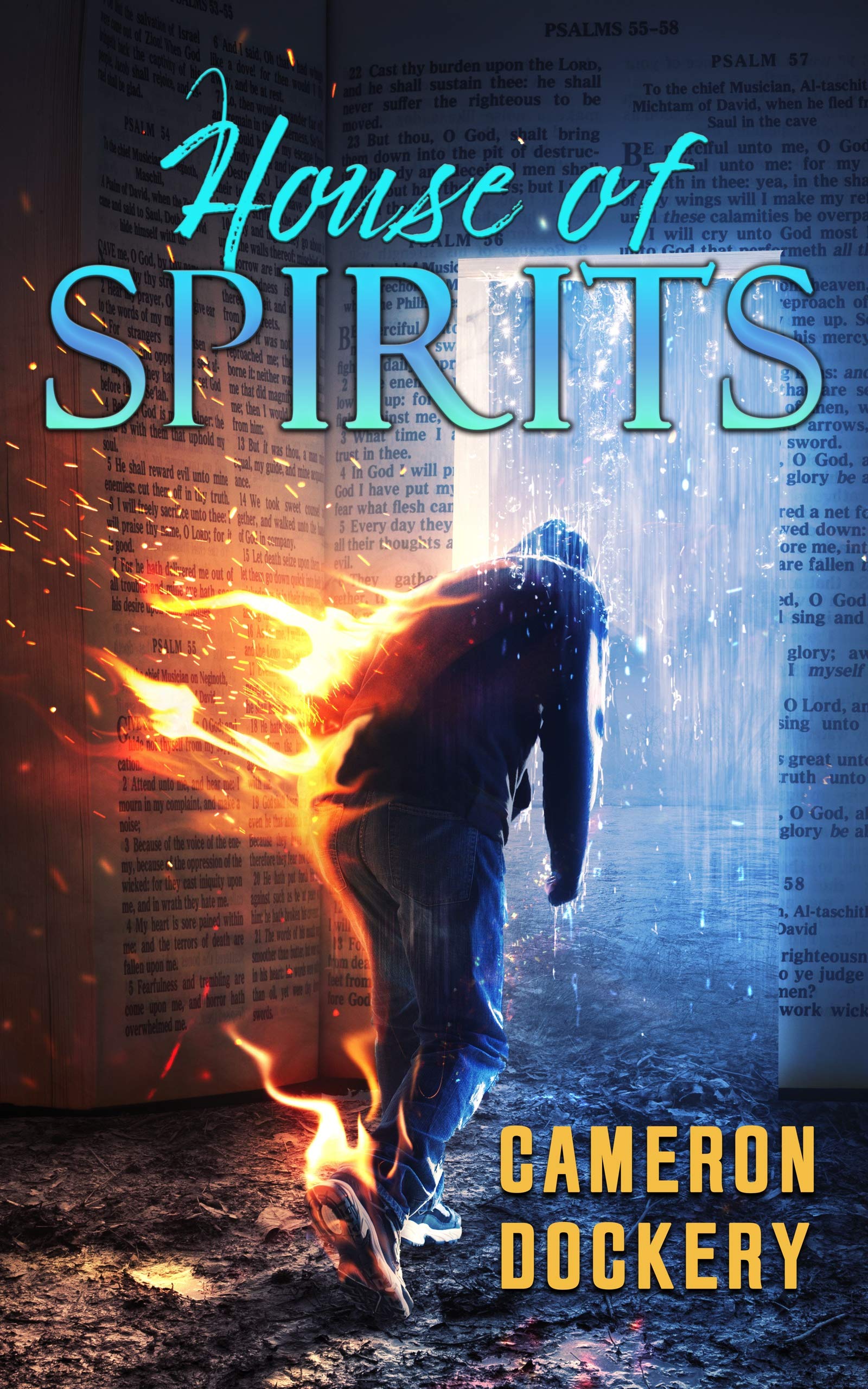 House of Spirits A Shot of Redemption by Cameron Dockery Goodreads