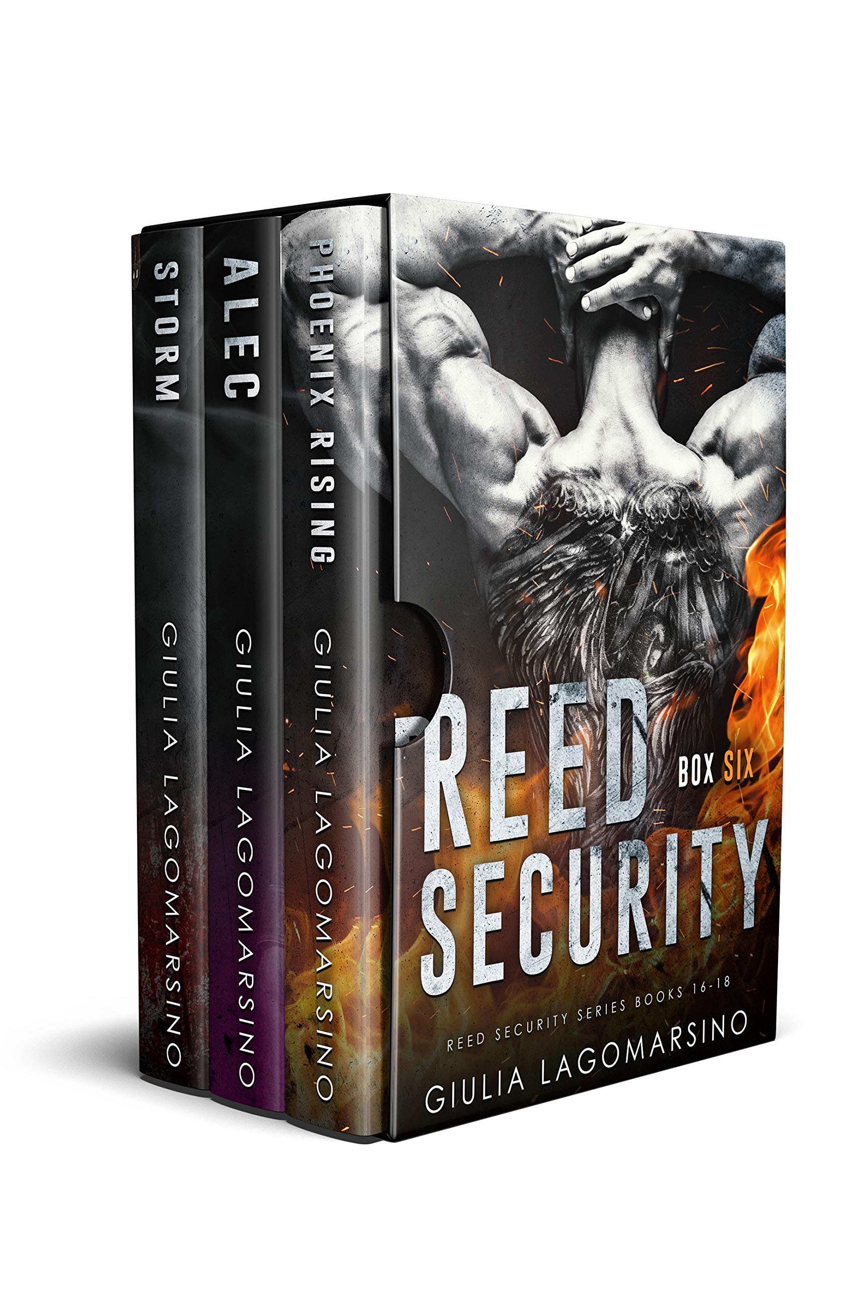 Reed Security Box 6: Reed Security Series Books 16-18