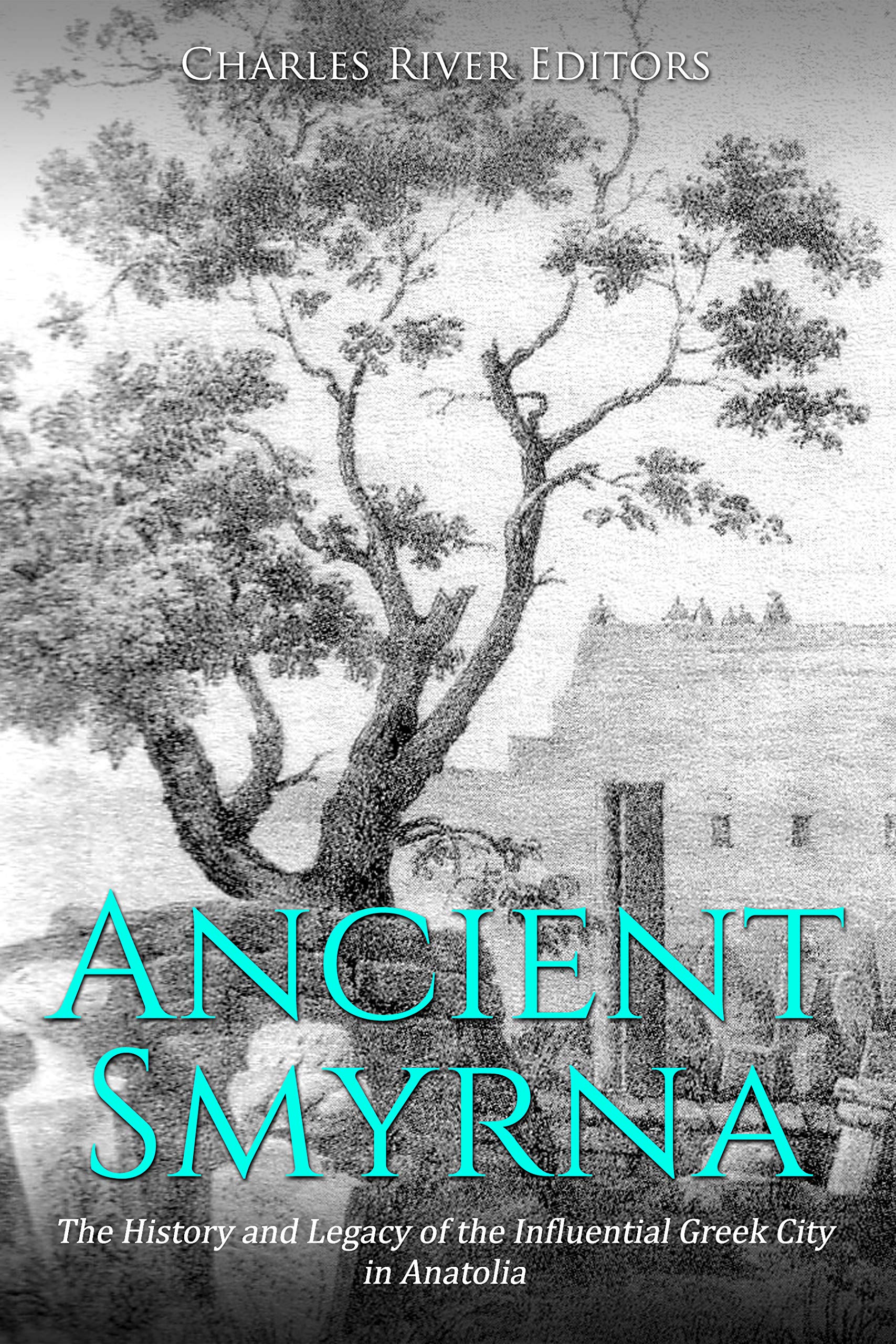 Ancient Smyrna book cover