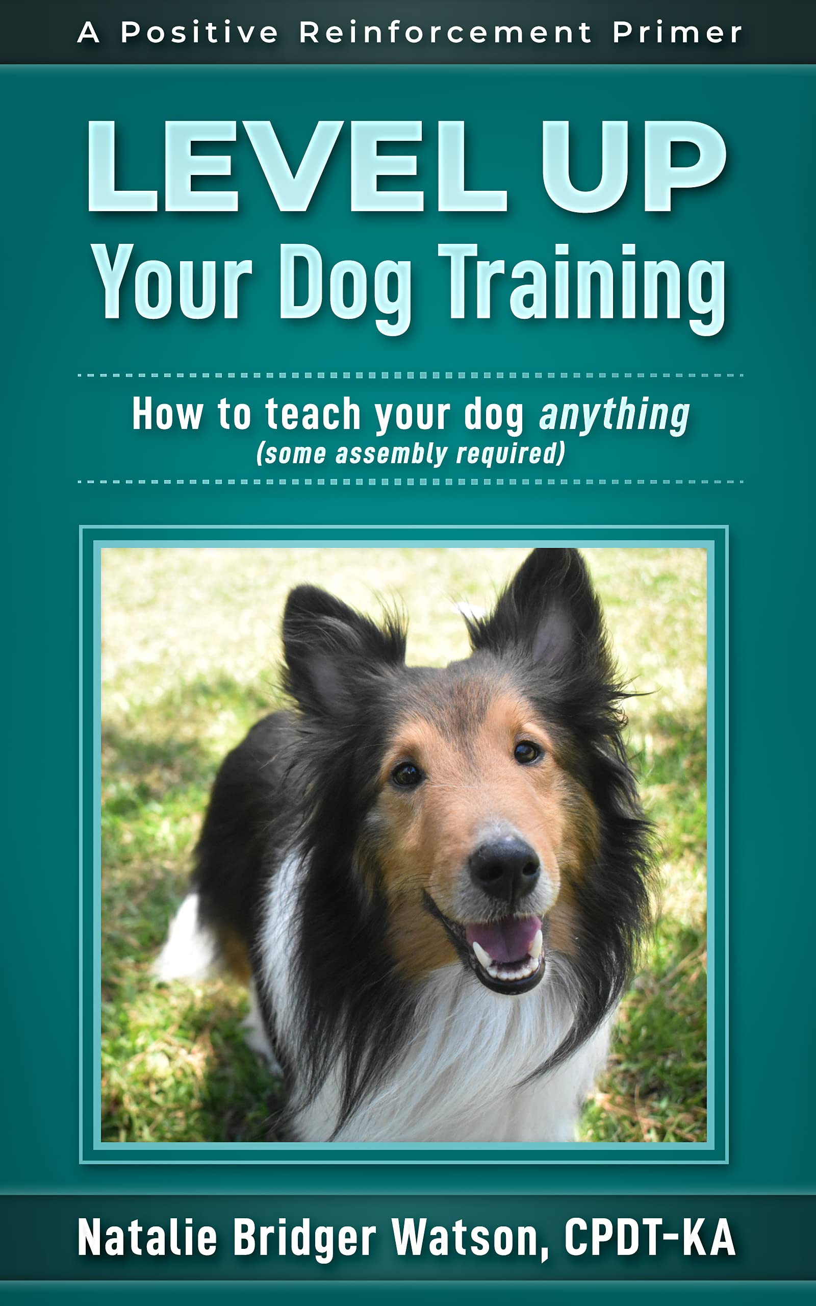 Level Up Your Dog Training: How to Teach Your Dog Anything (Some ...
