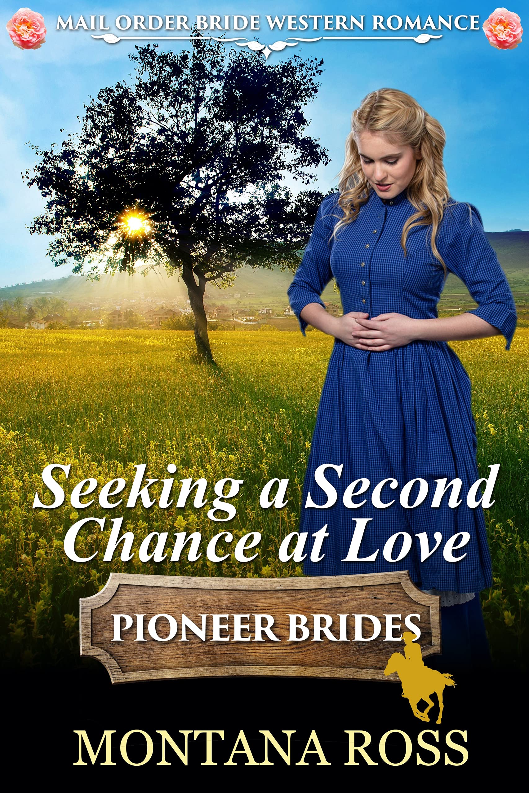 Seeking a Second Chance at Love book cover